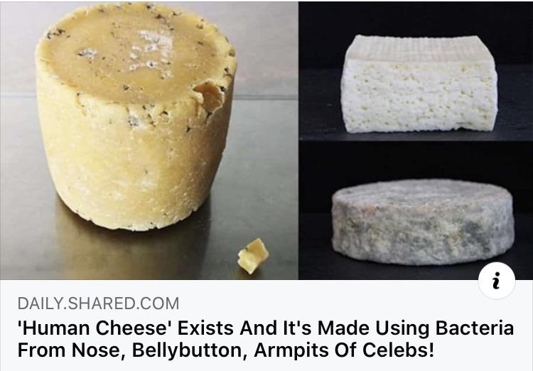 "Human Cheese" r/NoahGetTheBoat