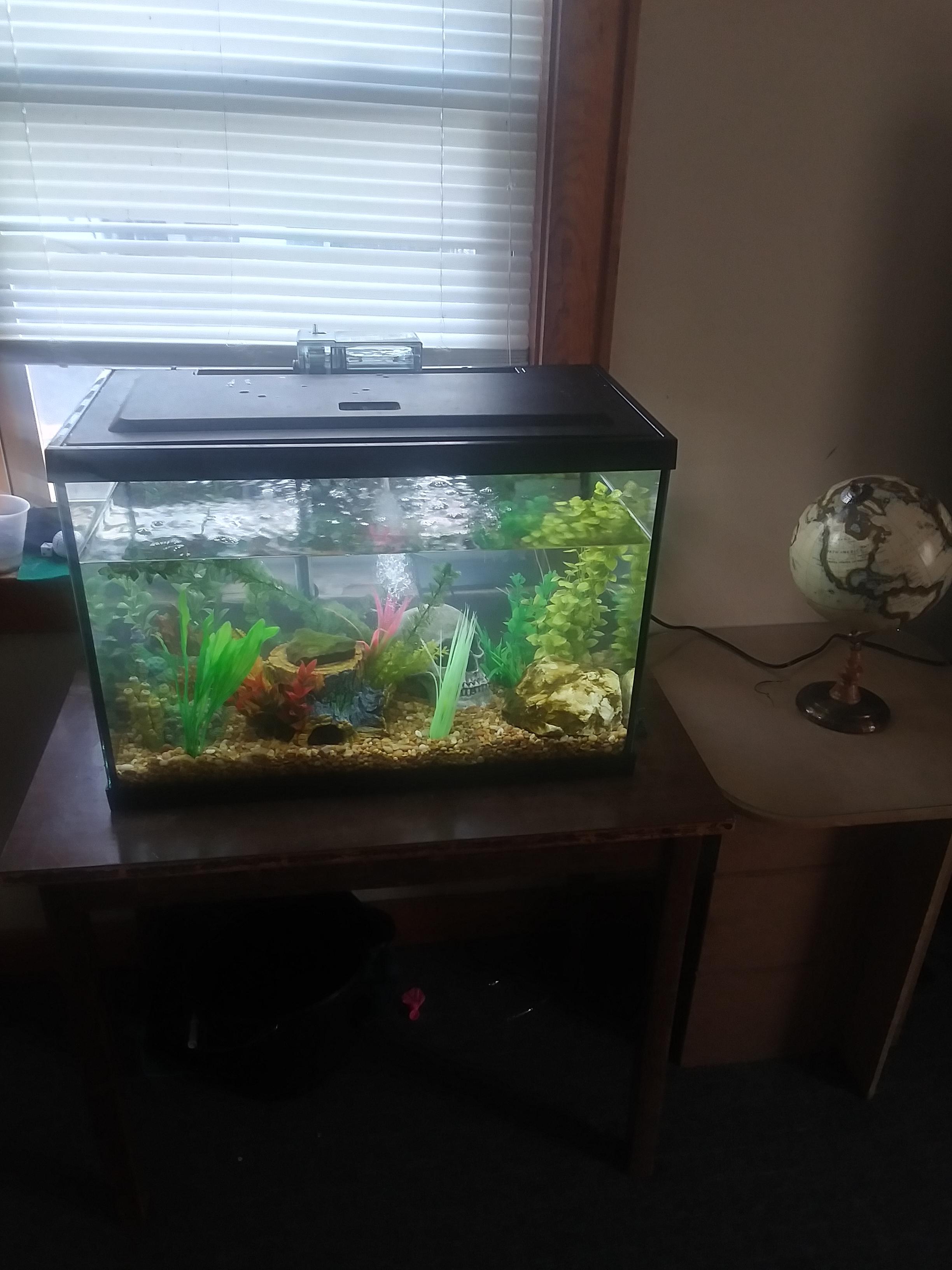 Is this 20g Tank good for two Cray's? They are a smaller species. I