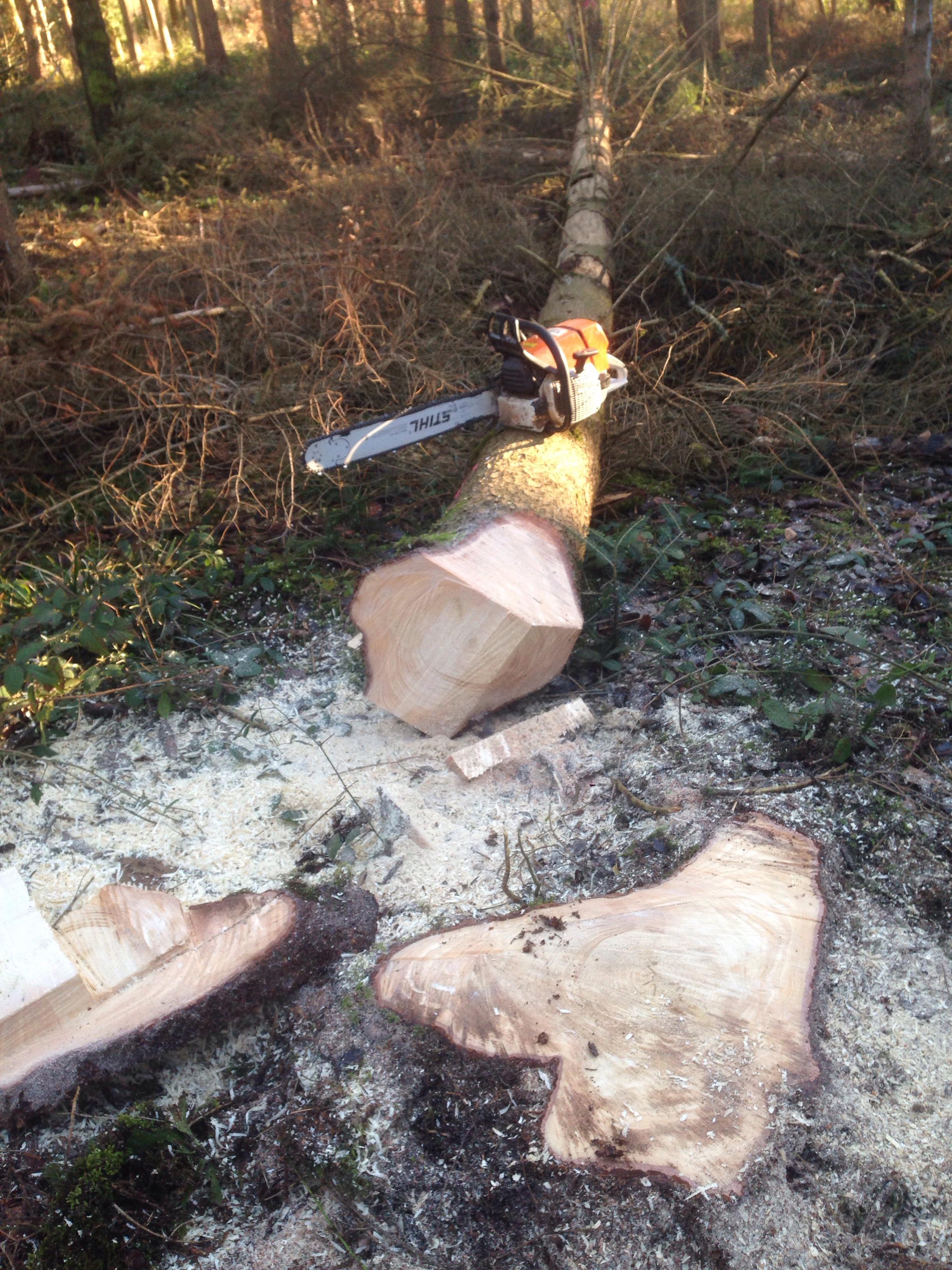 Today I played Stardew Valley in real life (wood work). This is the