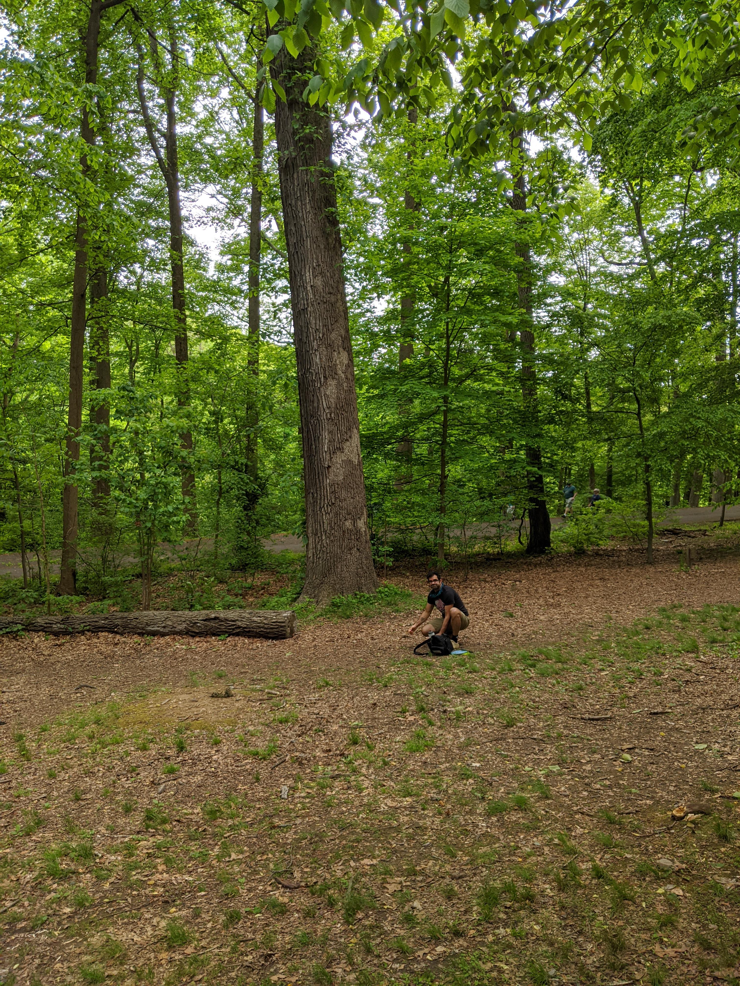 First time out this year at Tyler Park in Newtown, PA r/discgolf