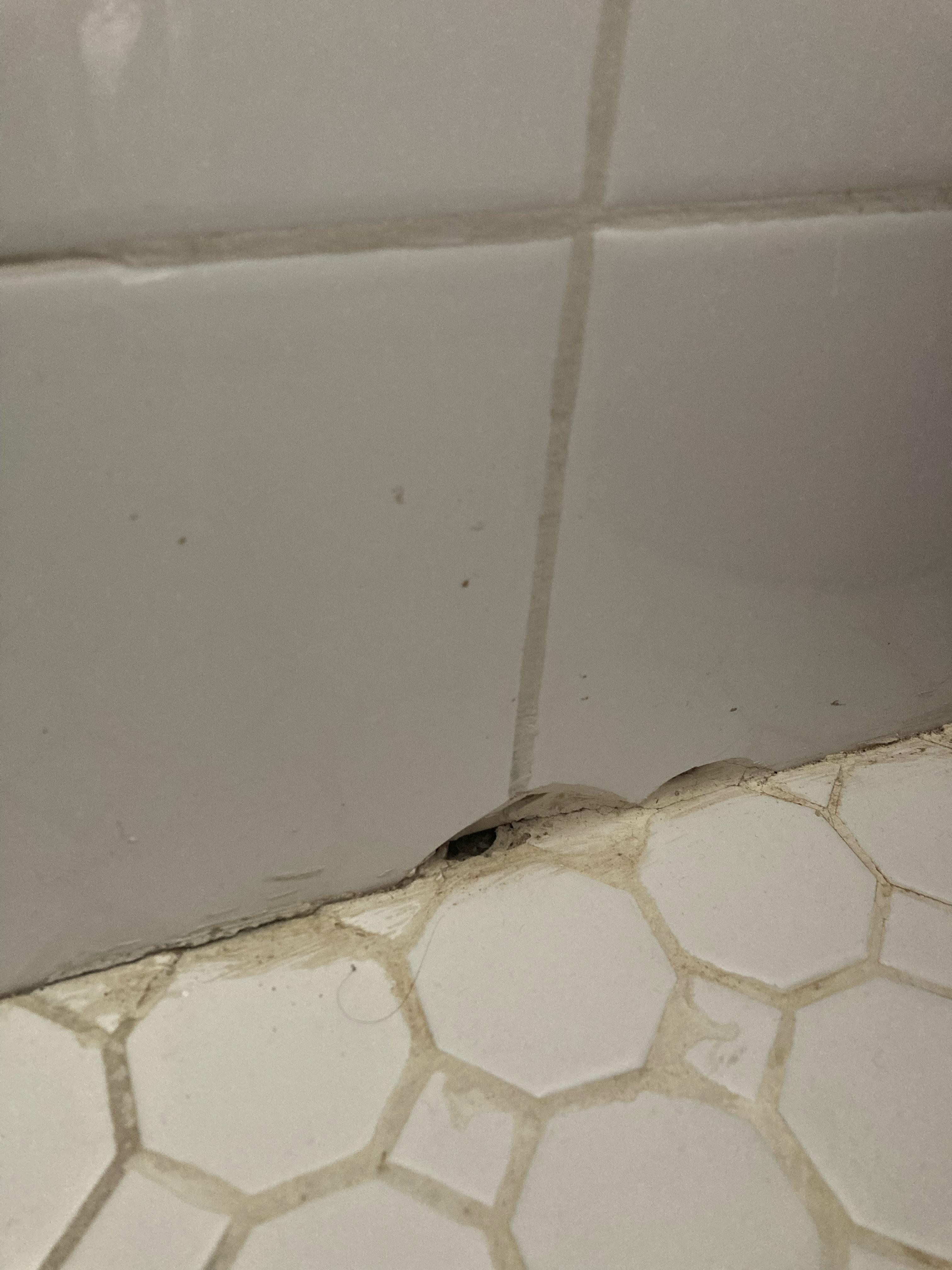 What to use to repair hole in wall bathroom tile near the floor tile? Grout? Plaster? We plan on
