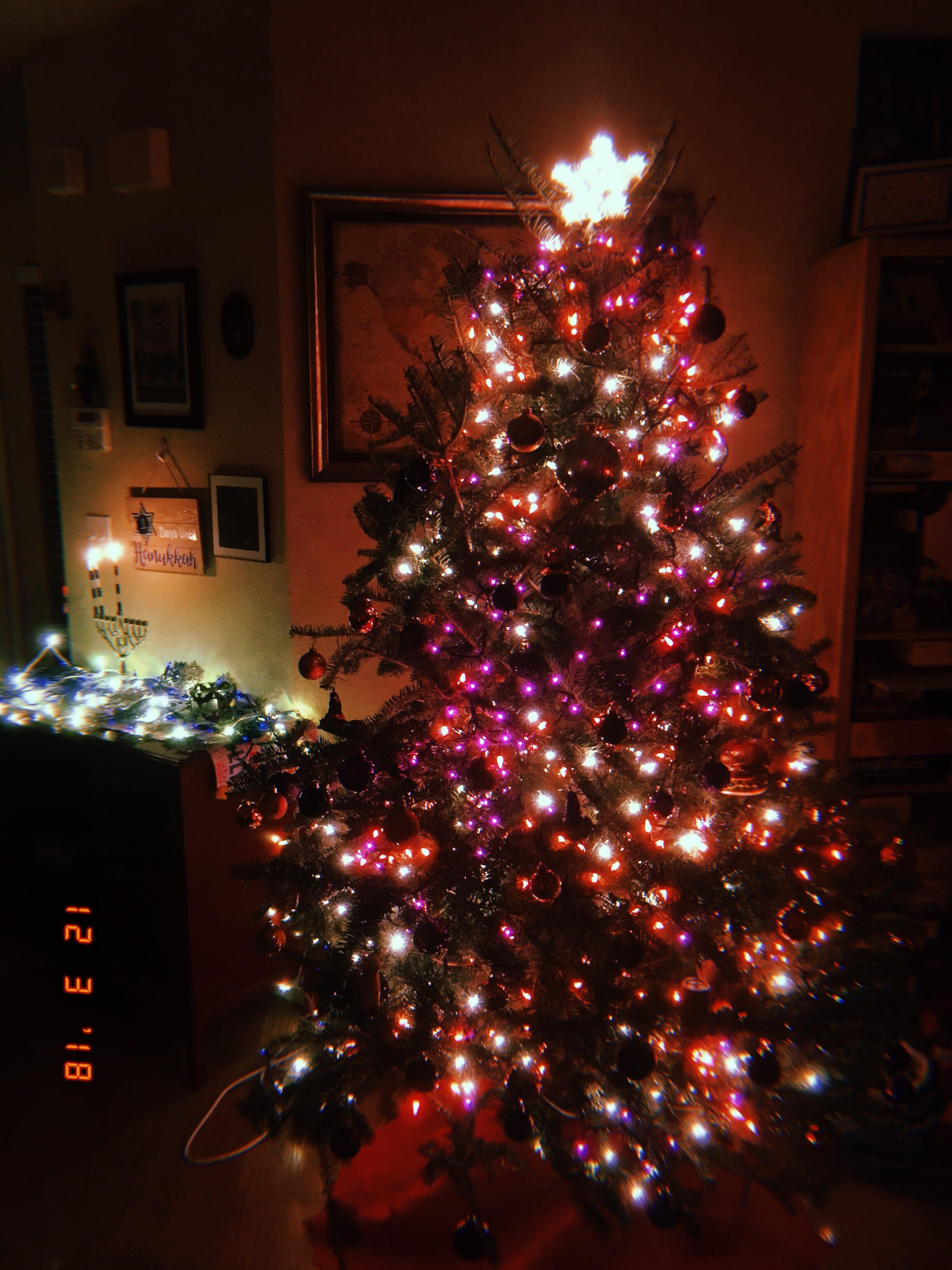 Just finished putting up our Halloween Christmas tree!! r/halloween