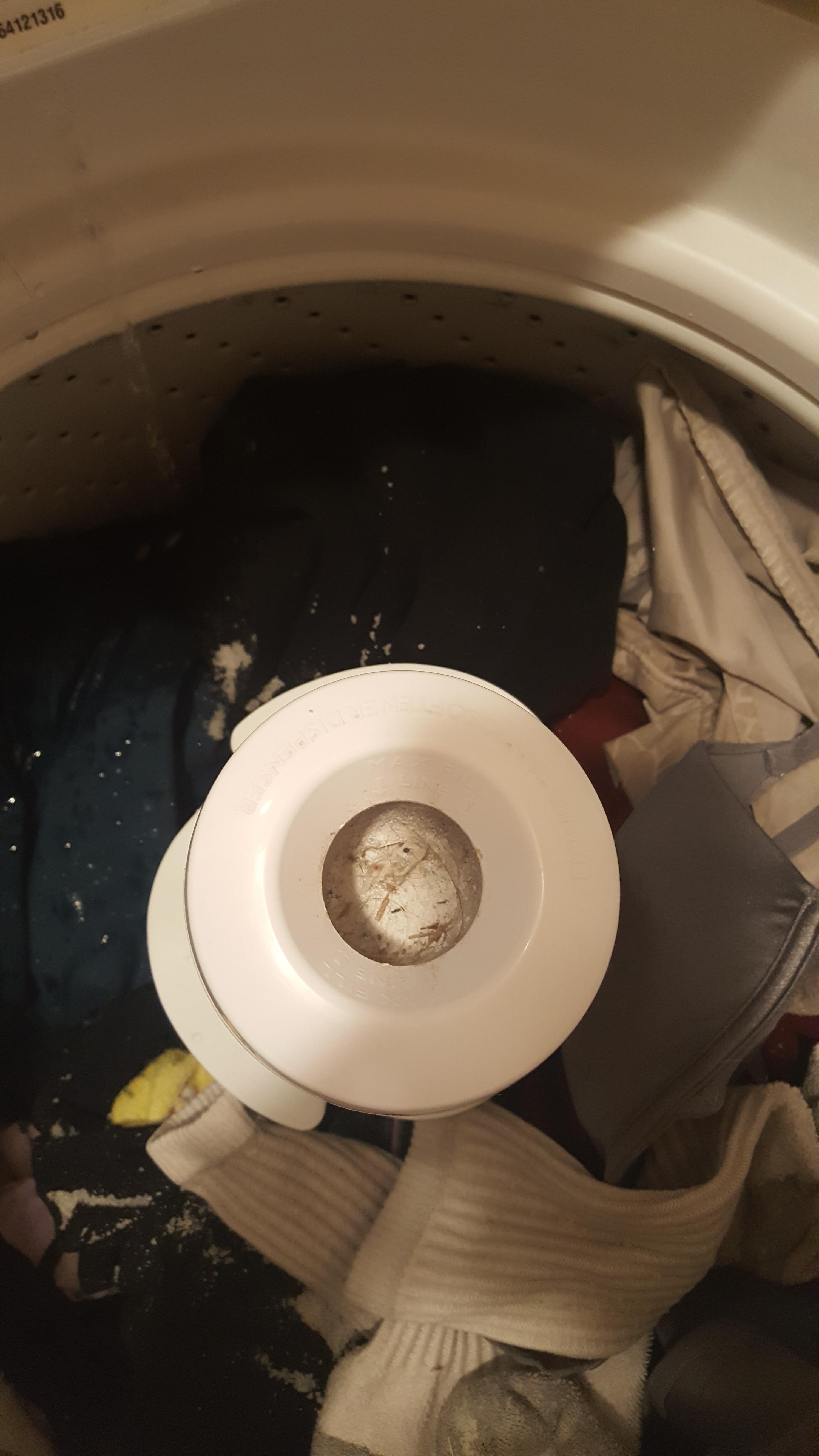 How do I clean this!? It's the center thing of my washing machine. r