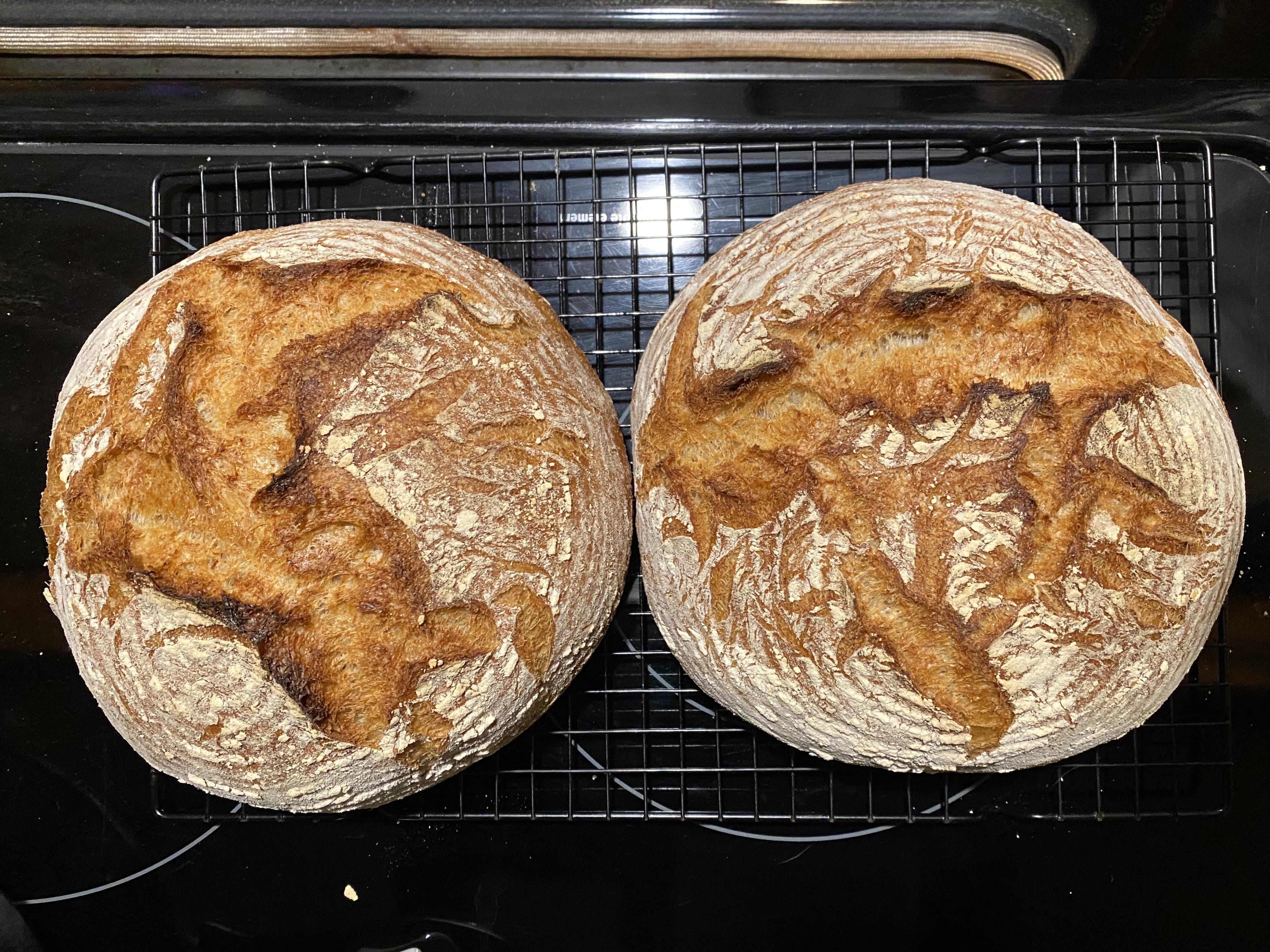 Harvest bread for Christmas Day using the Ken Forkish recipe from Water