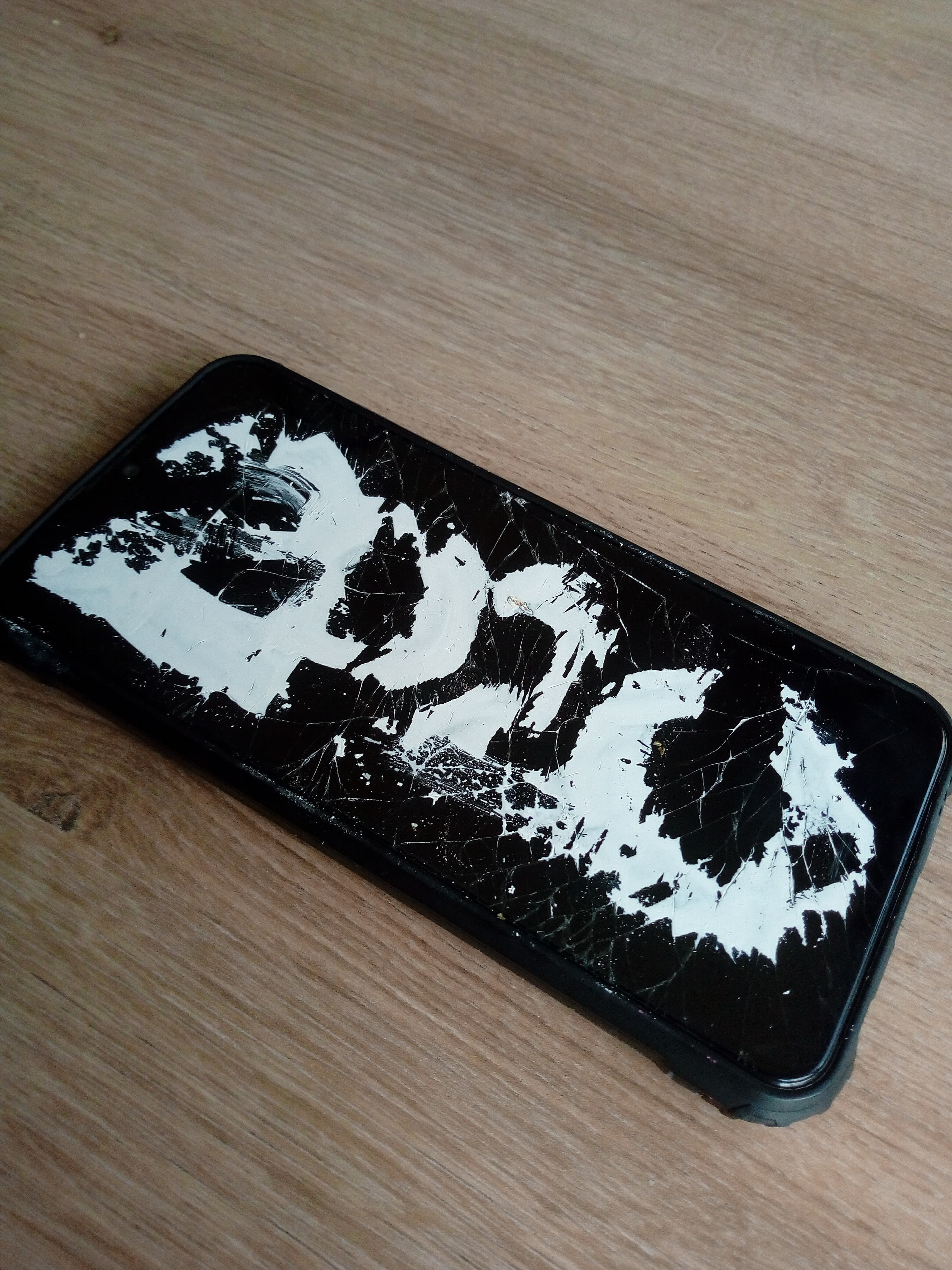 My phone , completely shattered in while in a case that was supposed to