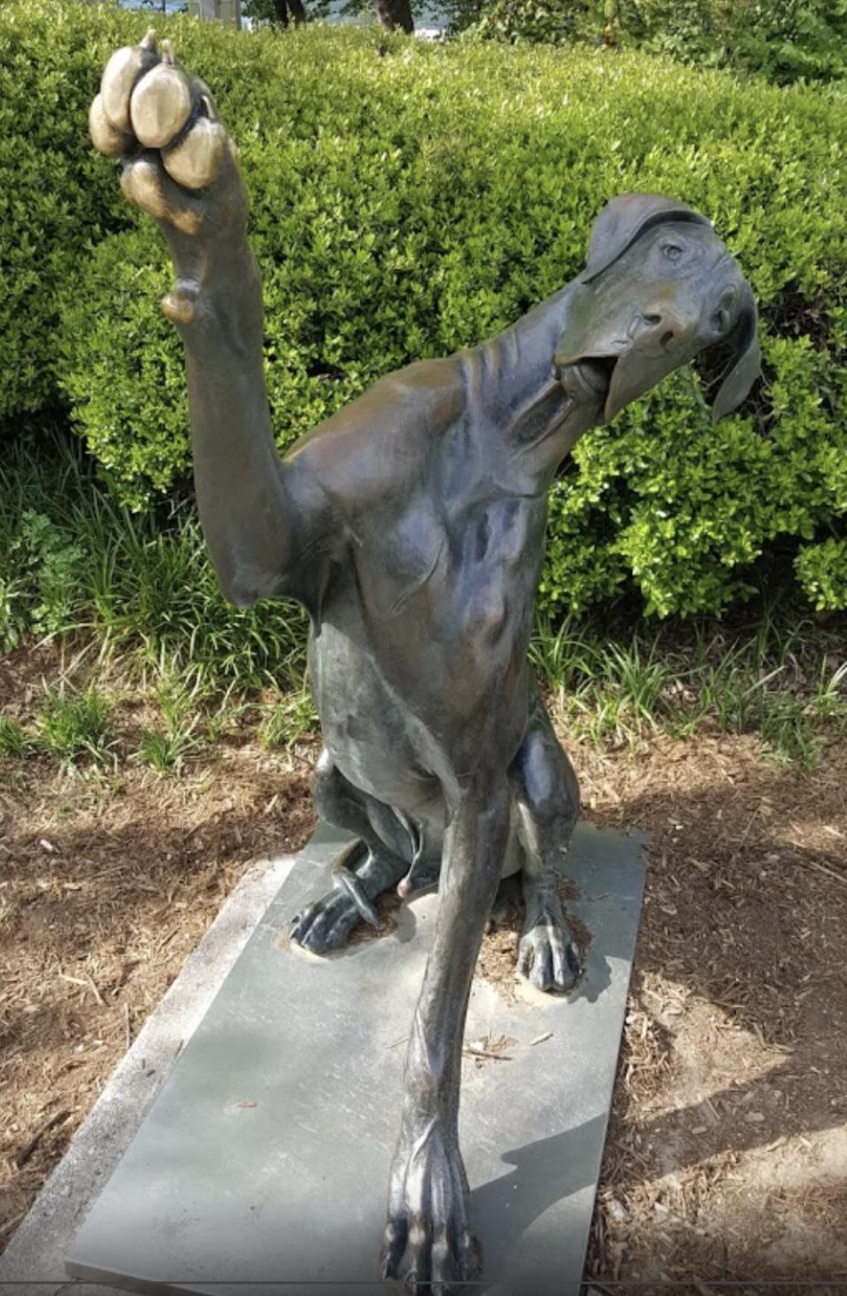 Lost Dog last seen months ago near the Walnut Street Bridge. Any