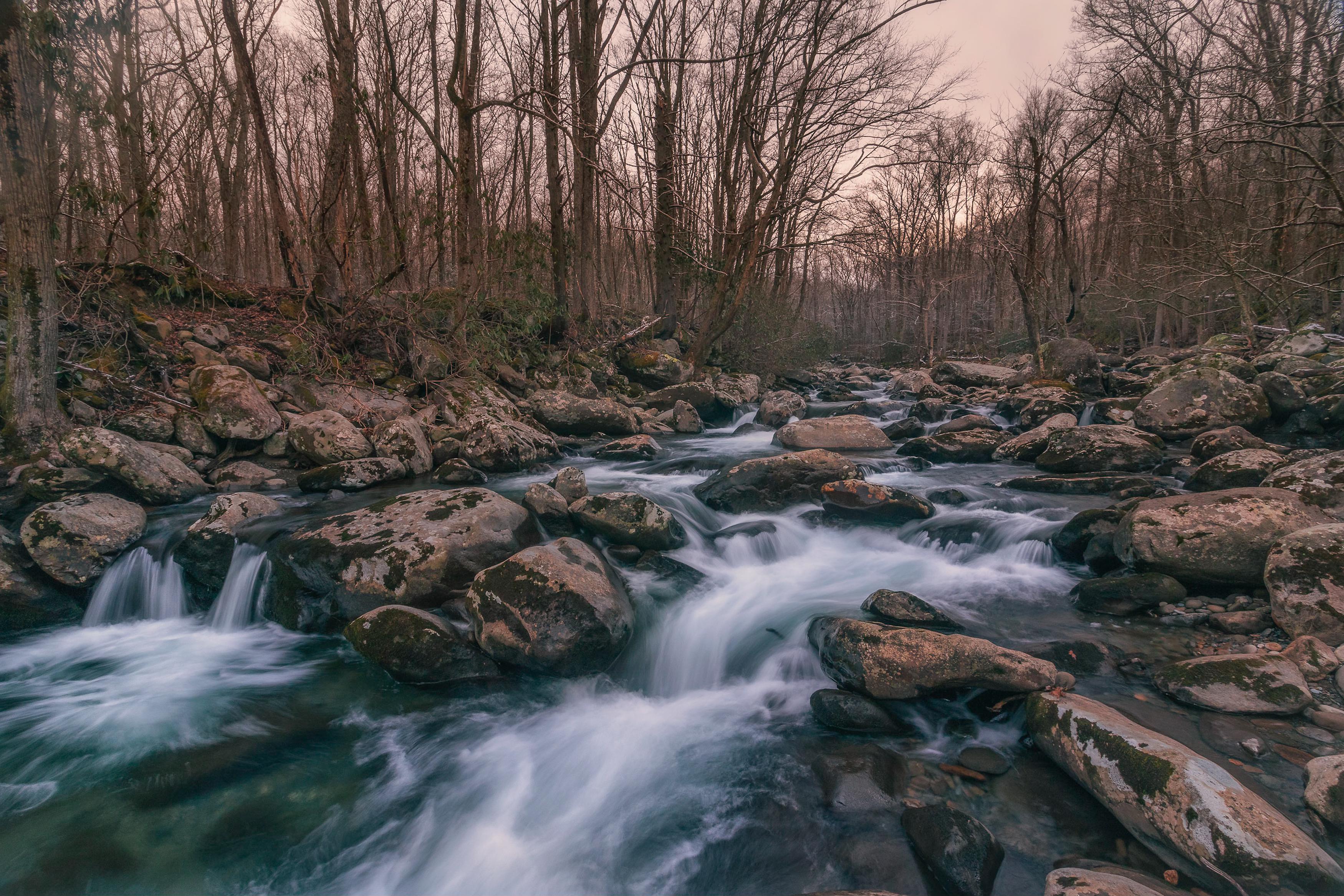 Great Smoky Mountains National Park [OC] [3500x2334] r/ExposurePorn
