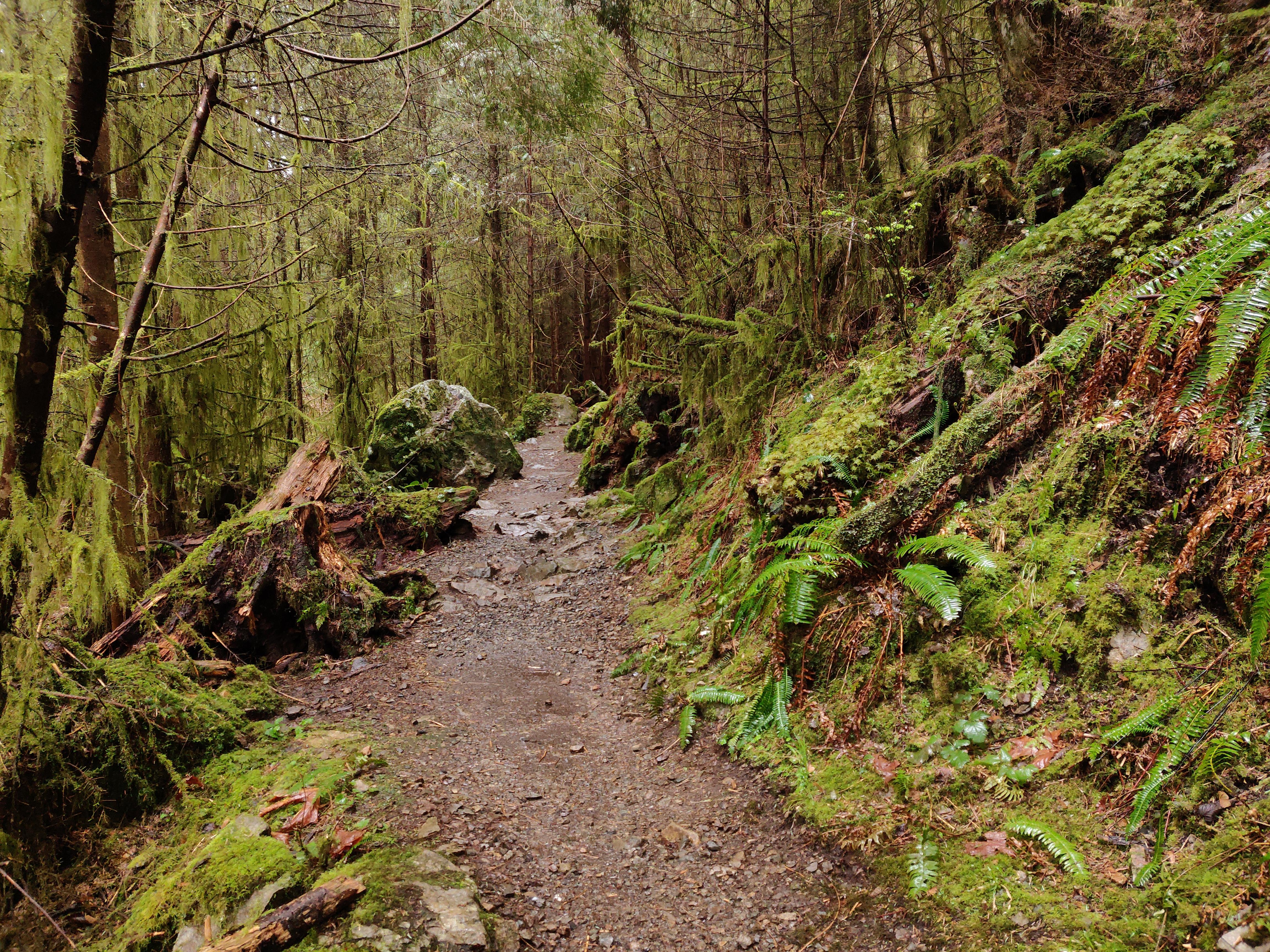 Lime Kiln Trail, Washington, USA r/hiking