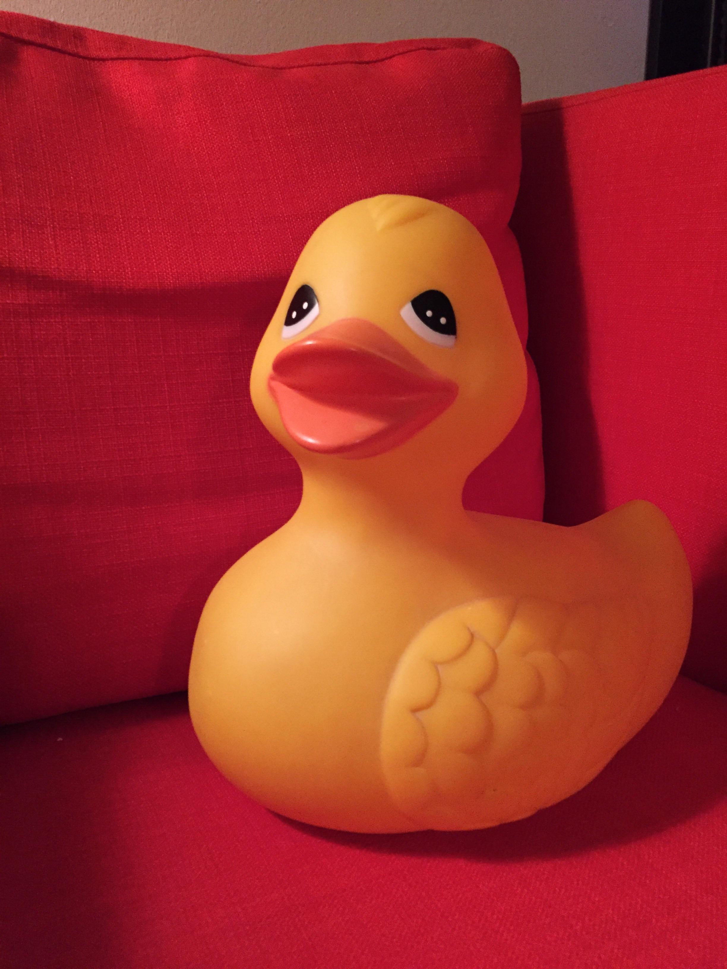 Behold, the largest rubber duck in my collection r/rubberducks