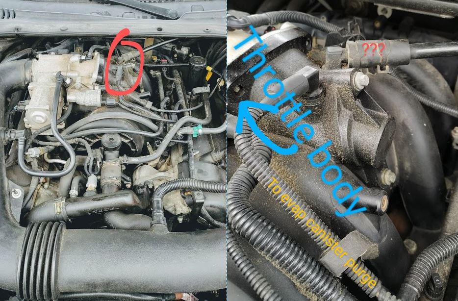 Sensors on throttle body- 2000 Jaguar S-type 4.0 What are they called