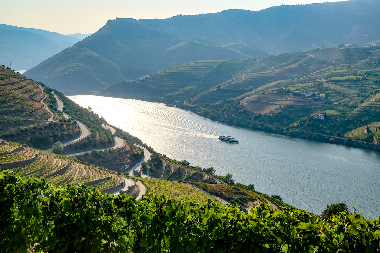 Terraced hillsides of the Douro River Valley in Portugal r/travel