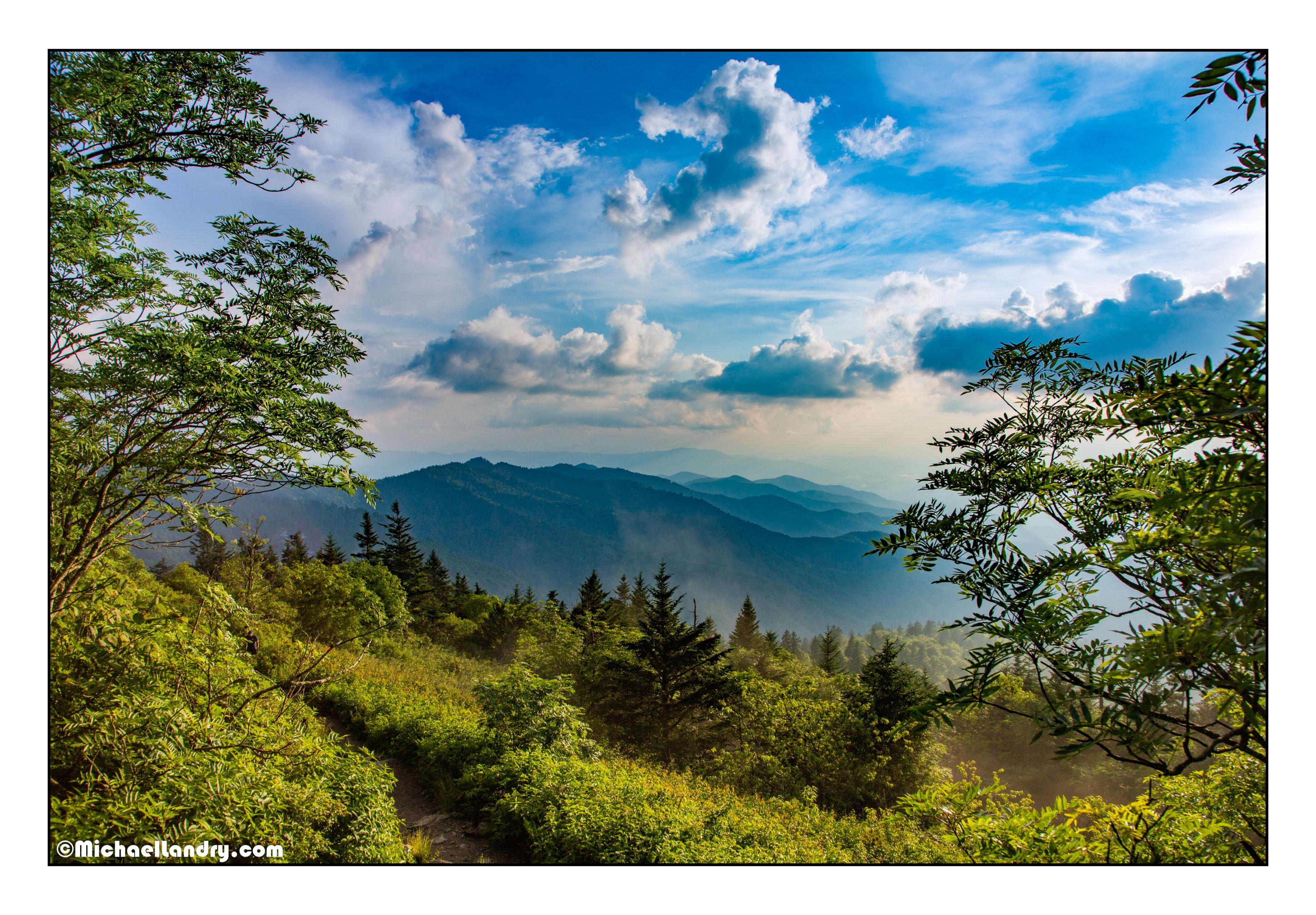 First post Blue Ridge Mountains, near Barnardsville, NC, 7/12/18
