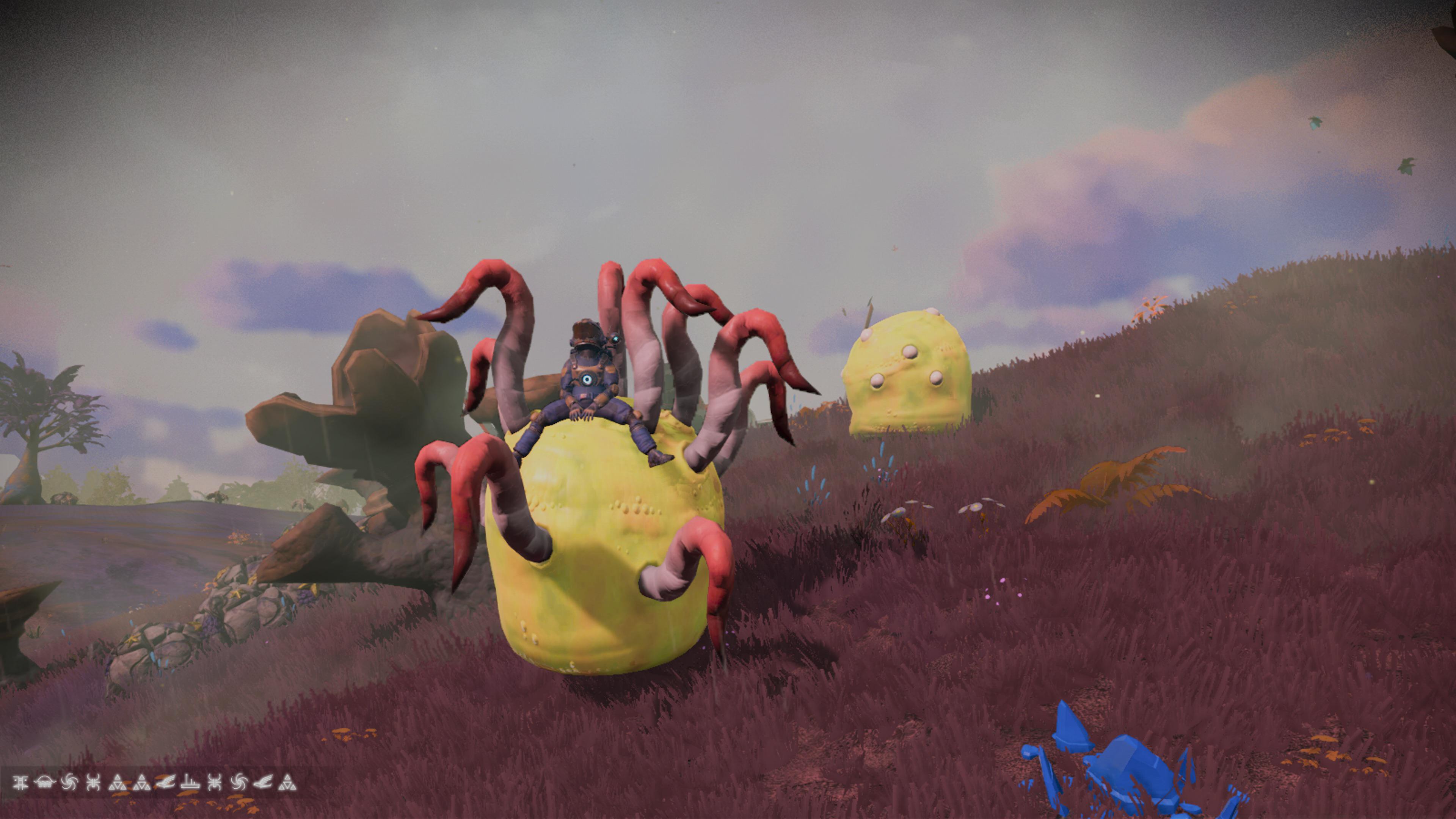 Mr. BallLegs r/NOMANSSKY