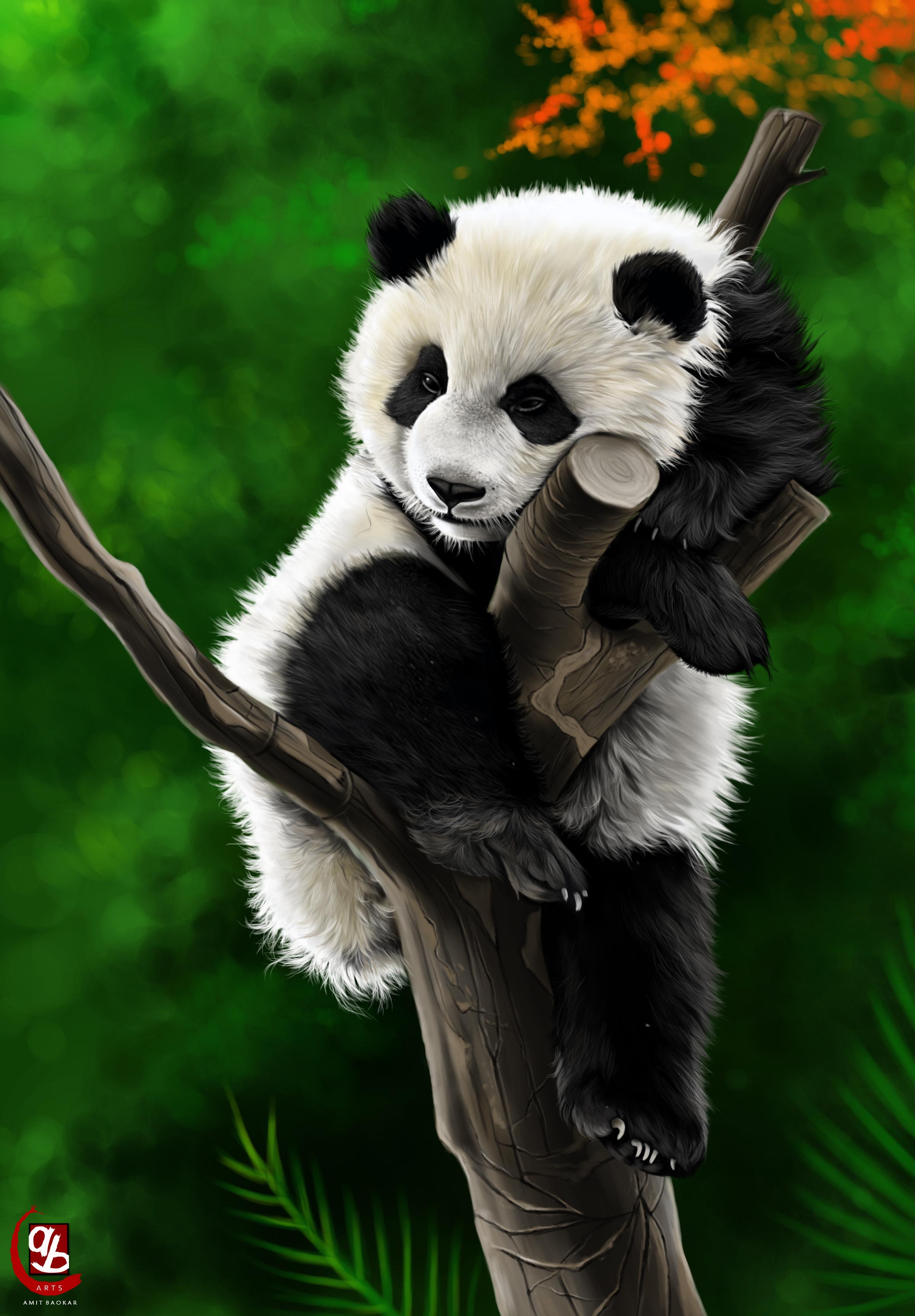 Panda, digital painting, 2400 X 3450px r/Art
