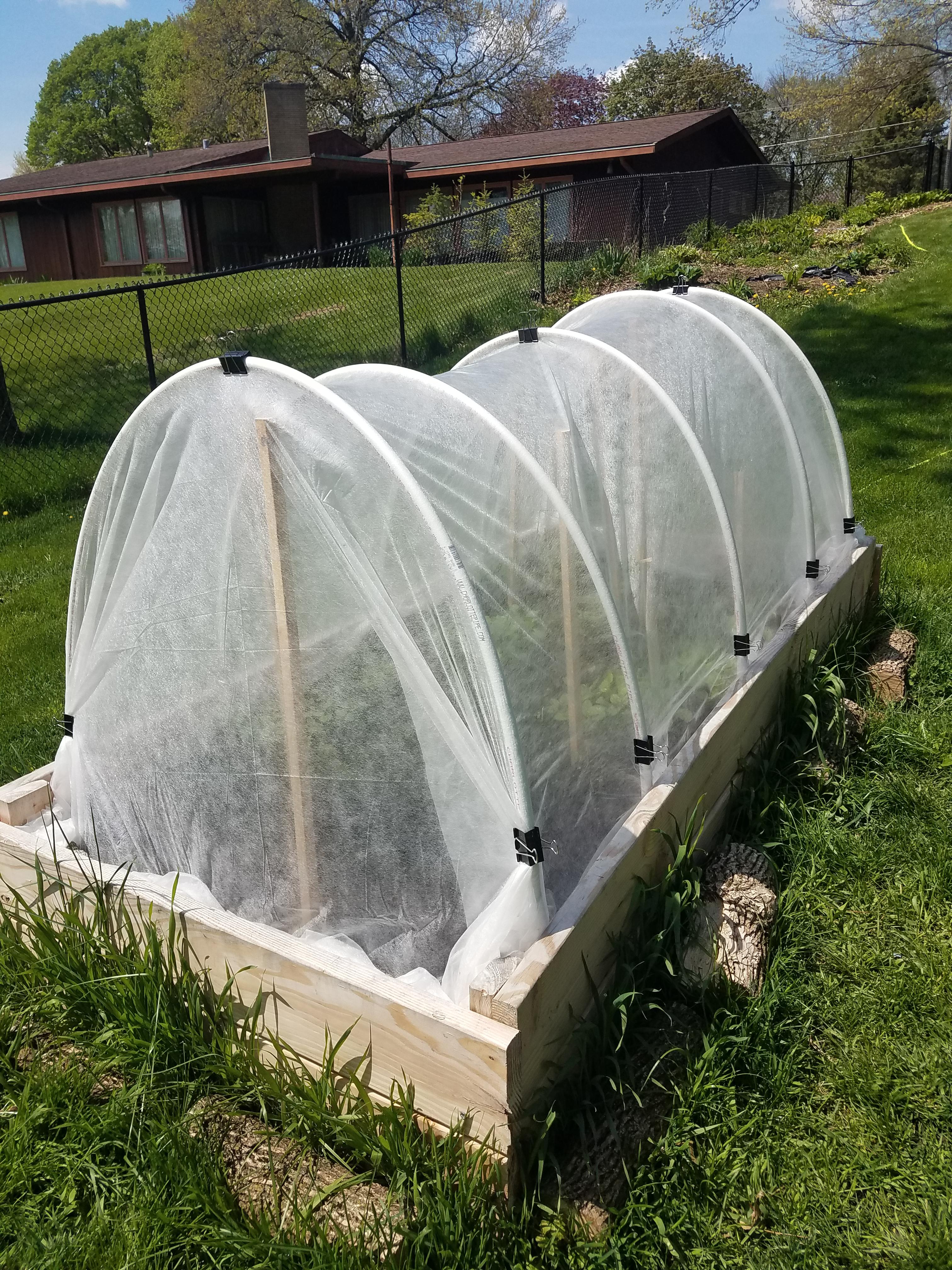 Protect plants from cold temps? vegetablegardening