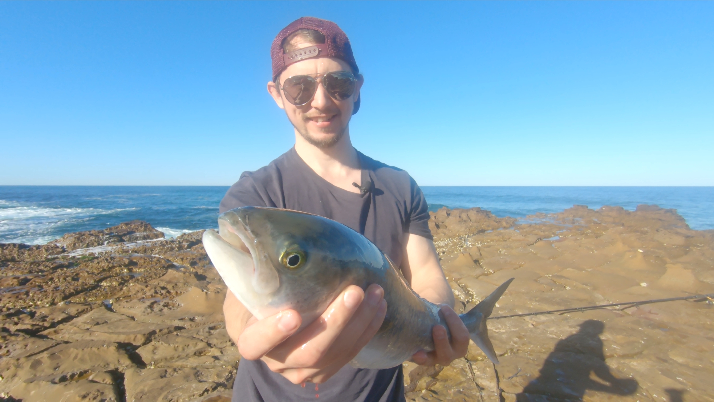 Caught a nice size Australian Salmon in Central coast, NSW. What a nice