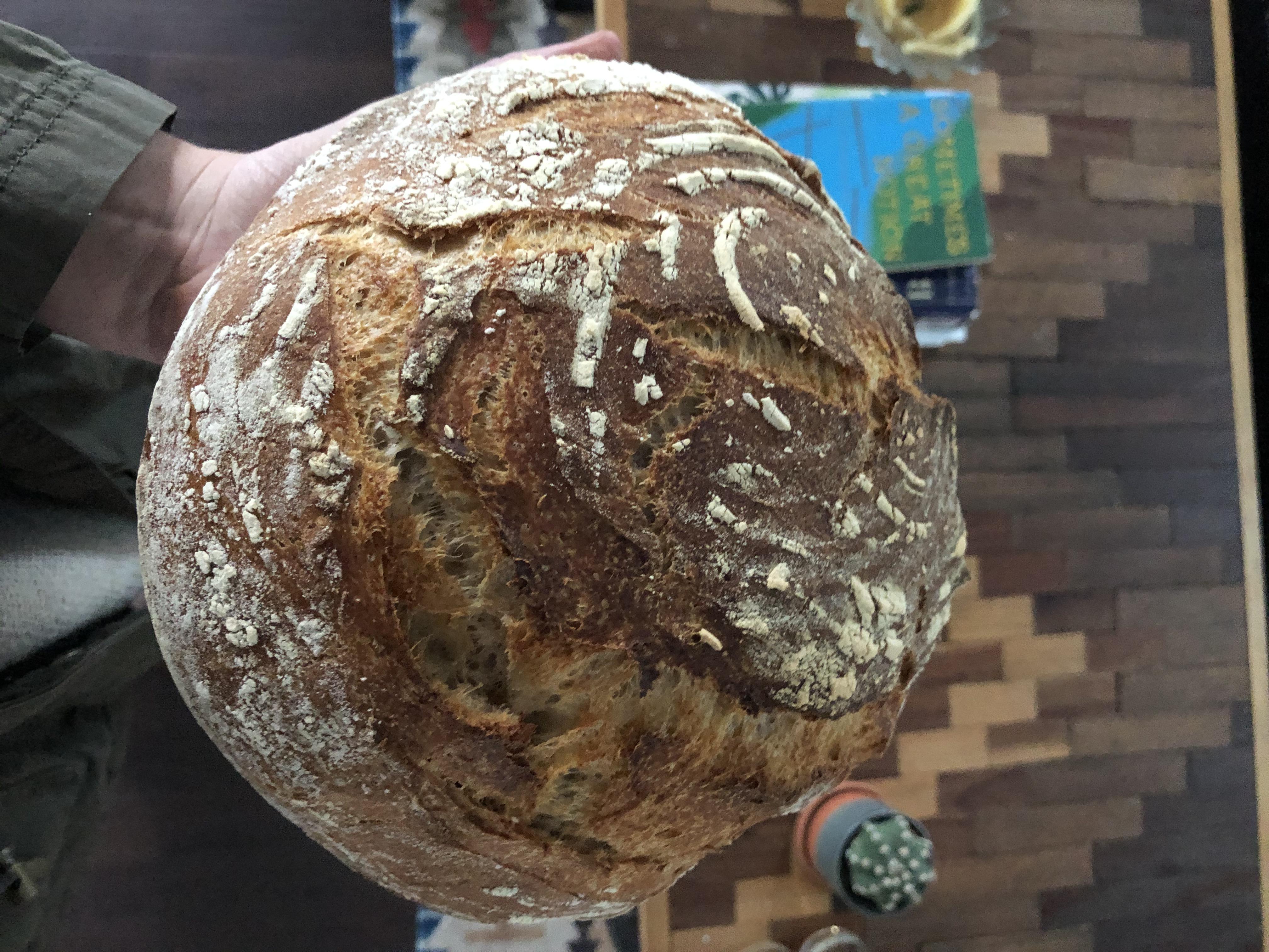 I have no idea what the hydration/ratios are, but she’s beautiful and I