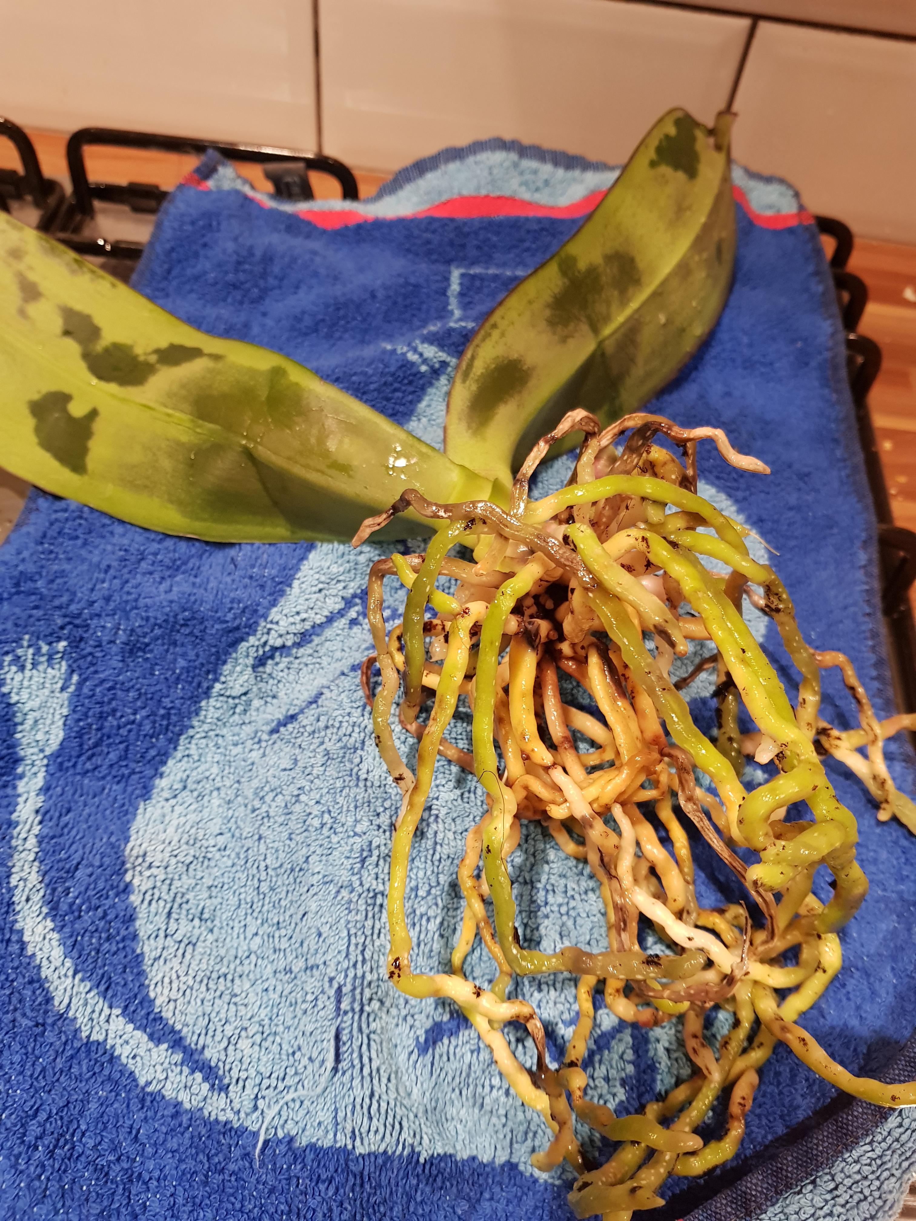 Update I previously posted for help, and am following advice and am re