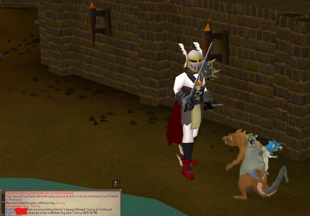 1kc Scurry pet yesterday!! Post got buried in 2007scape with