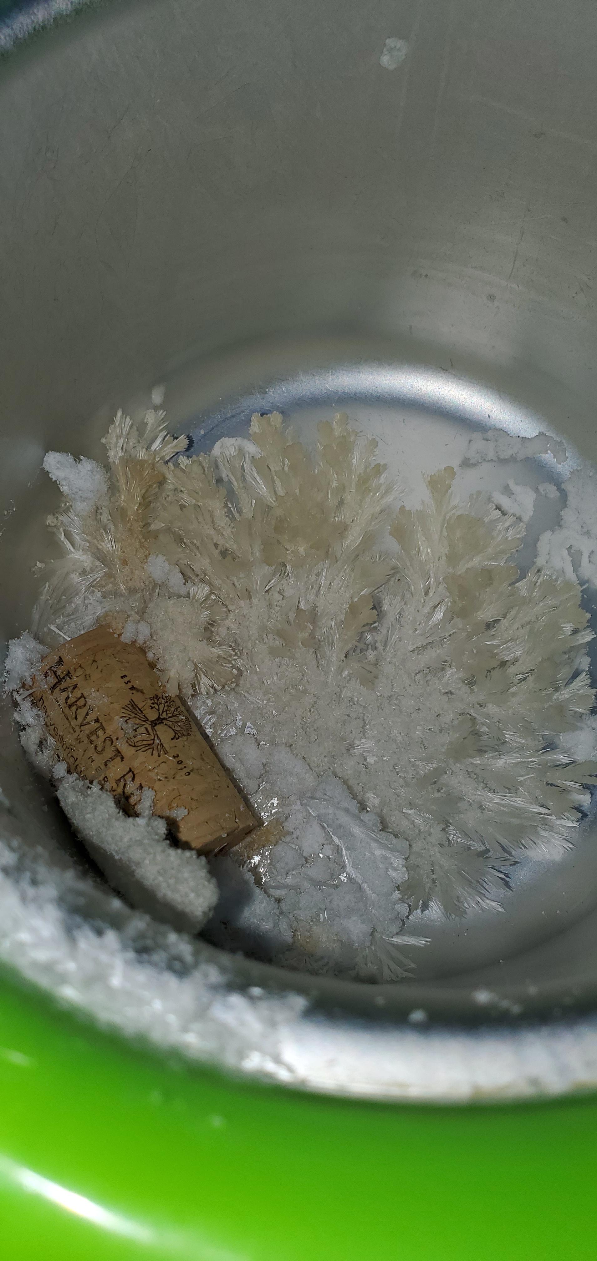 What are these crystals growing in my ice cream maker? r/whatisthisthing