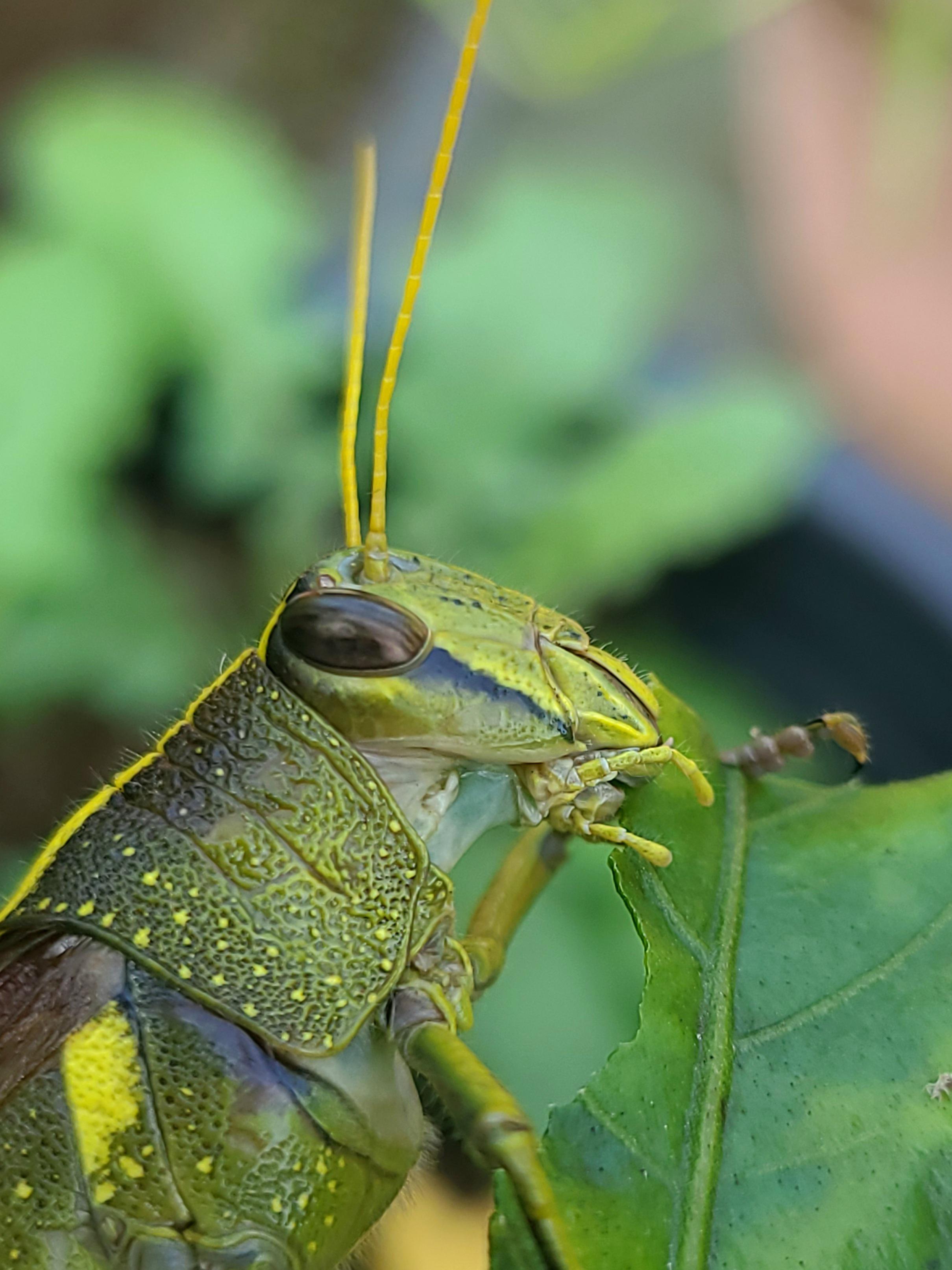 I made a deal in my head with this Bird last week, if you