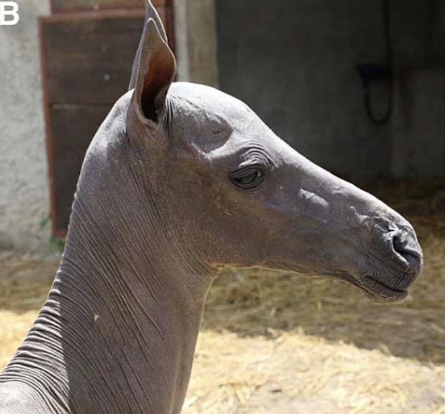 Buried a friend knee deep in sand. When he stepped out, the sand