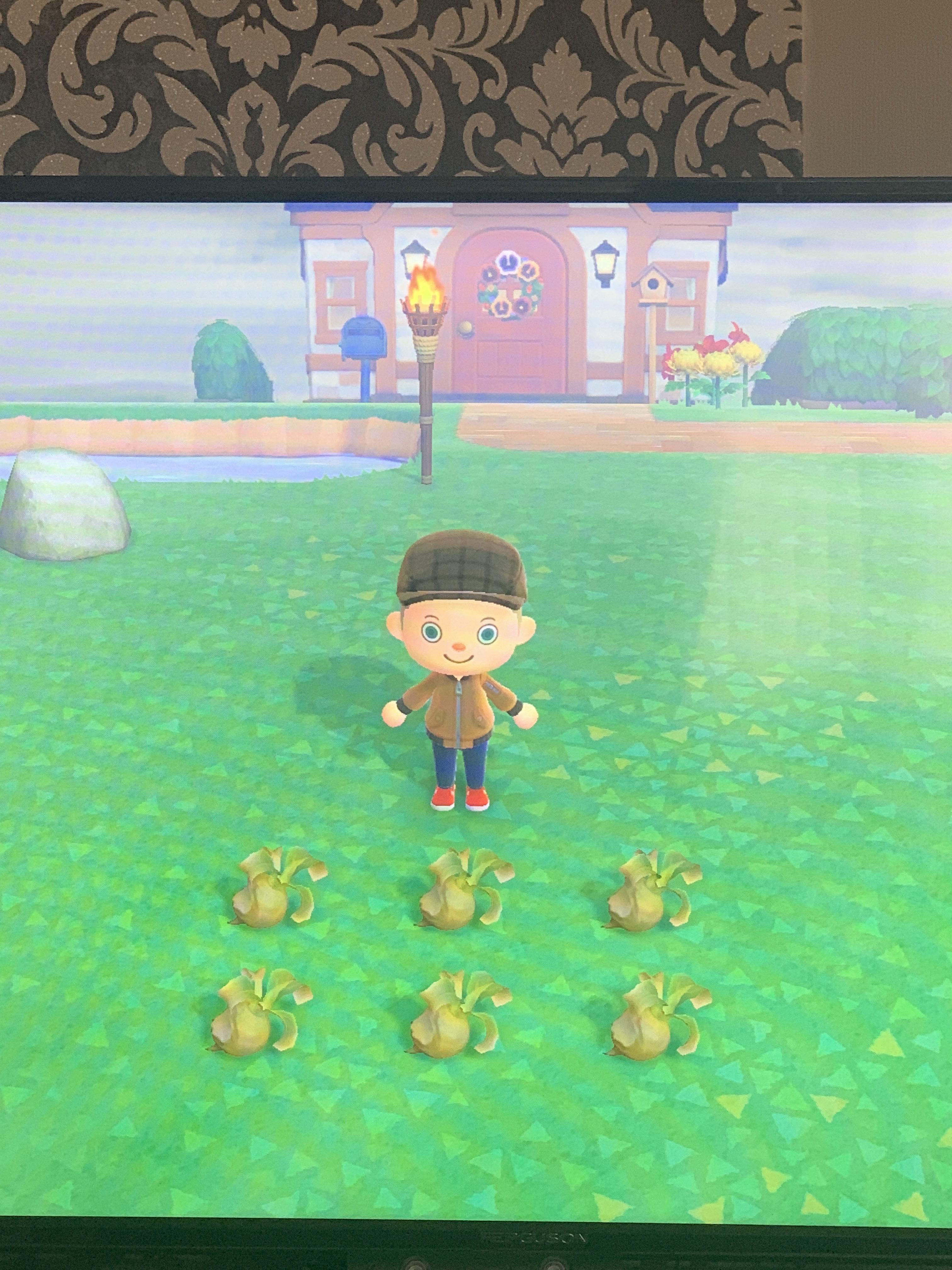 Anyone want a few rotten turnips? r/AnimalCrossing