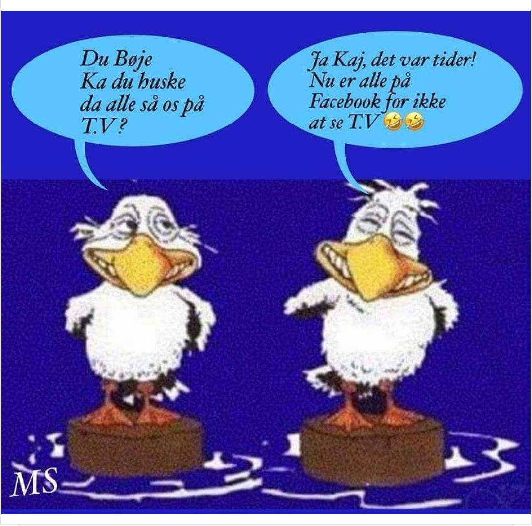 Kaj og Bøje meme r/facebookskrald