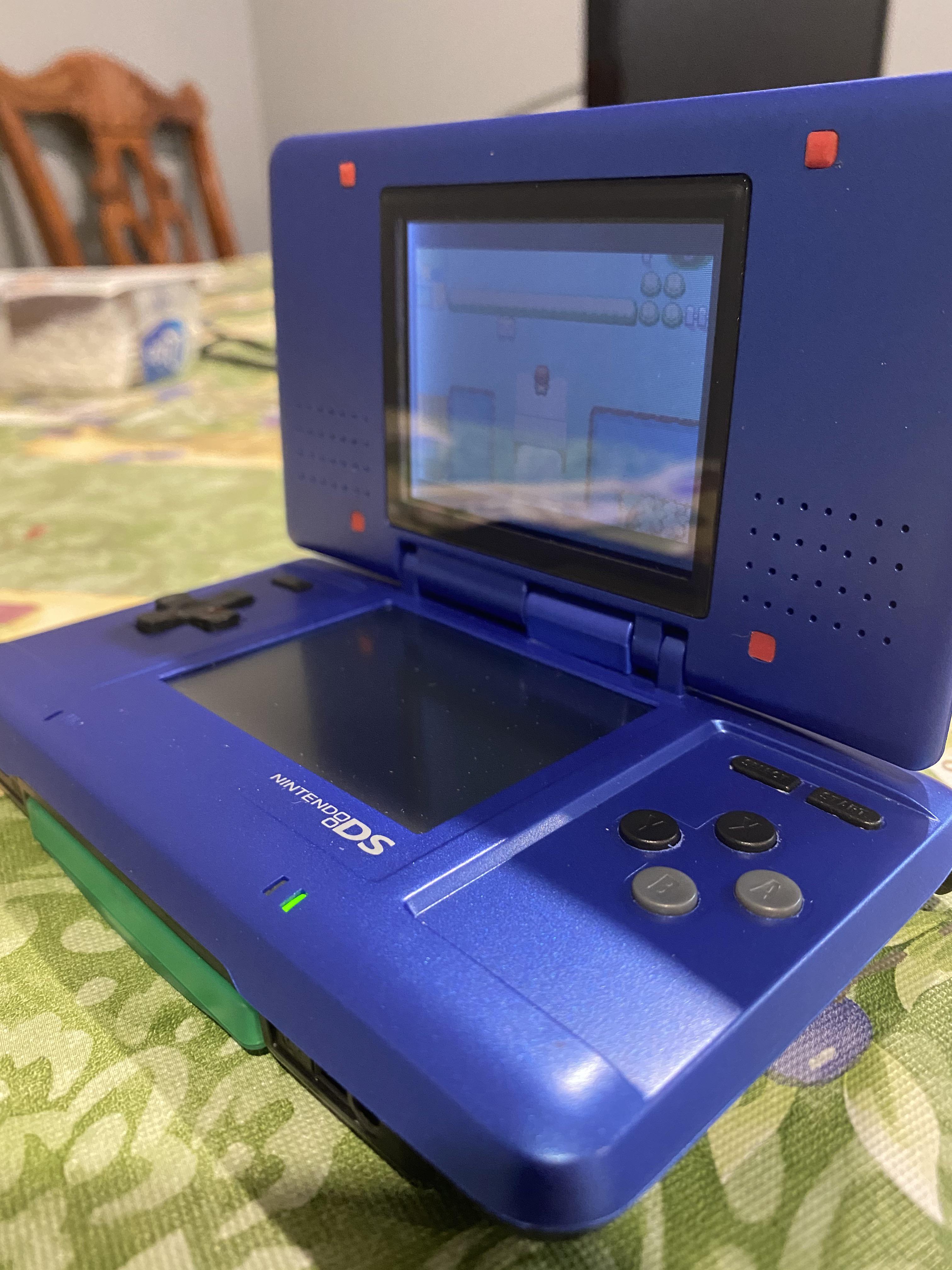 I’ve put at least 100 hours of playtime into my DS over the summer