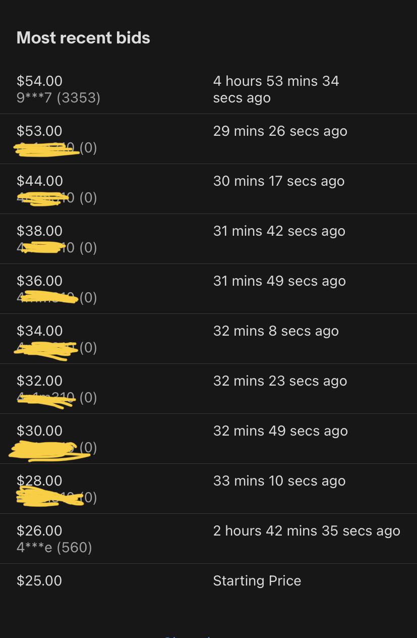 Am I missing something? I was bidding on something, only to be outbid