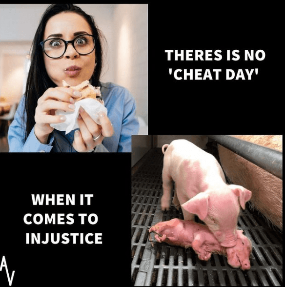 To the people who ask vegans to have a 'cheatday' vegan