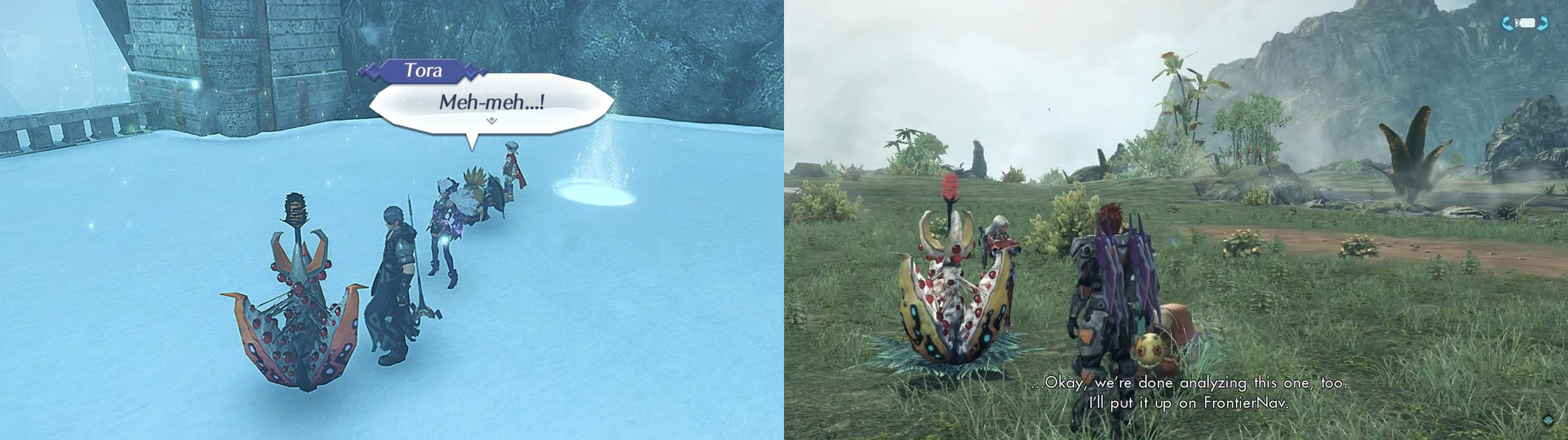 The model for Flutterheart Glass (Xenoblade 2) is the same as plant in