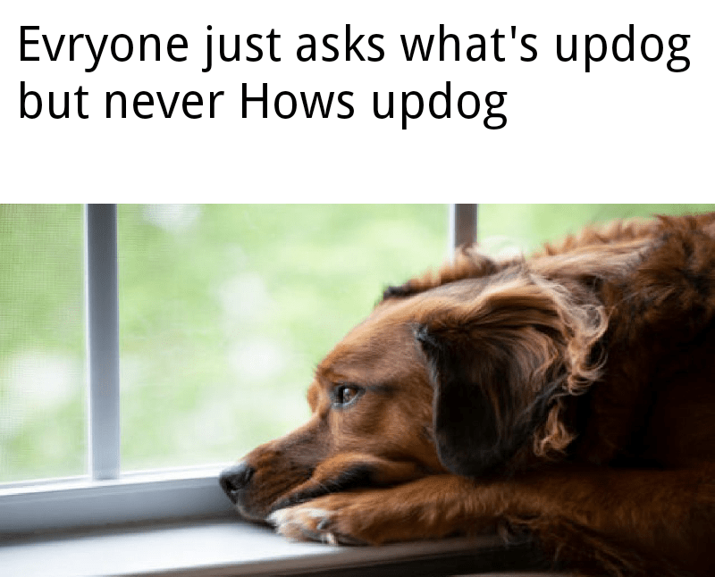 How's Updog r/memes