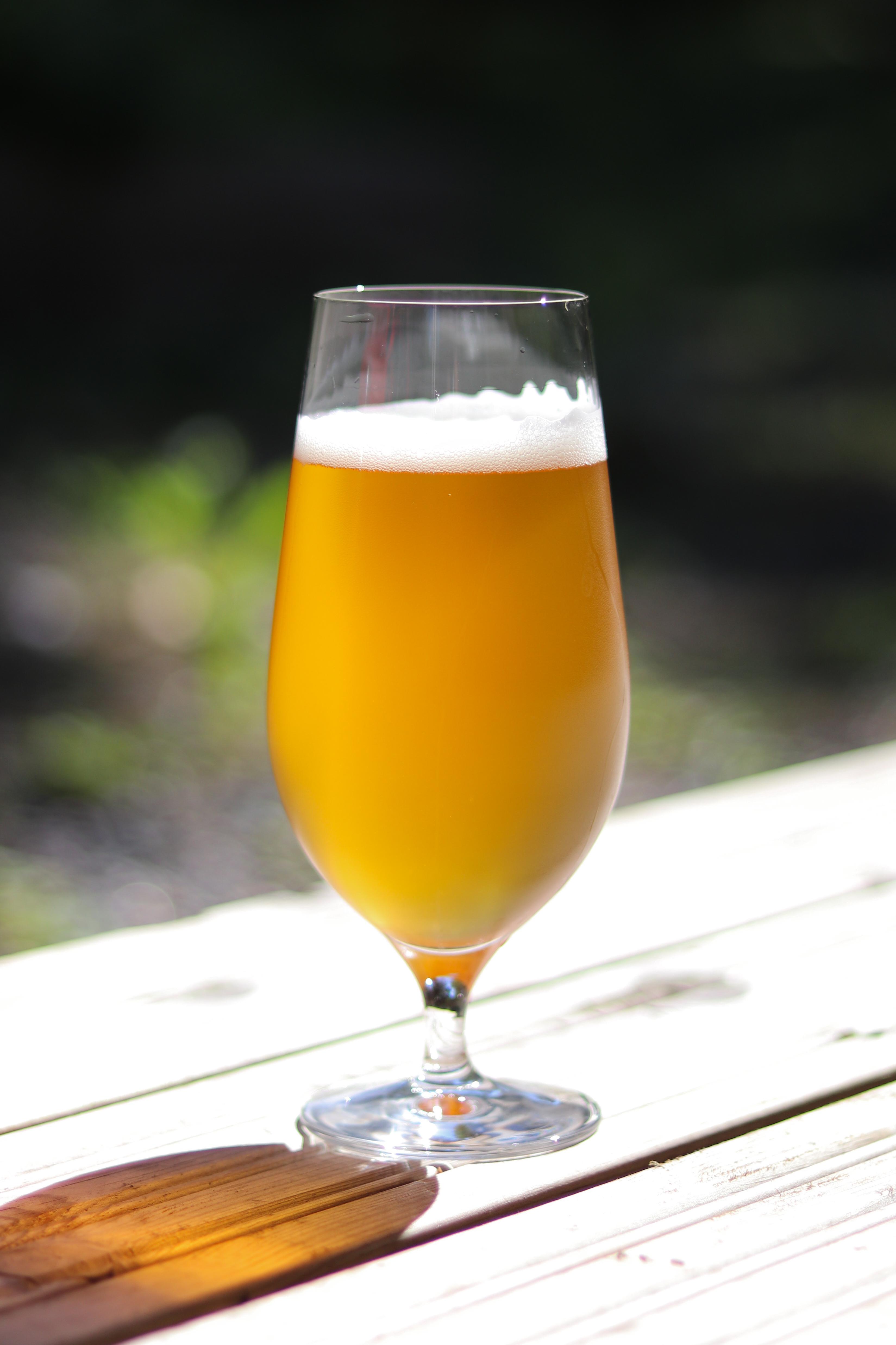 Homebrew Mosaic Pale Ale r/beerporn