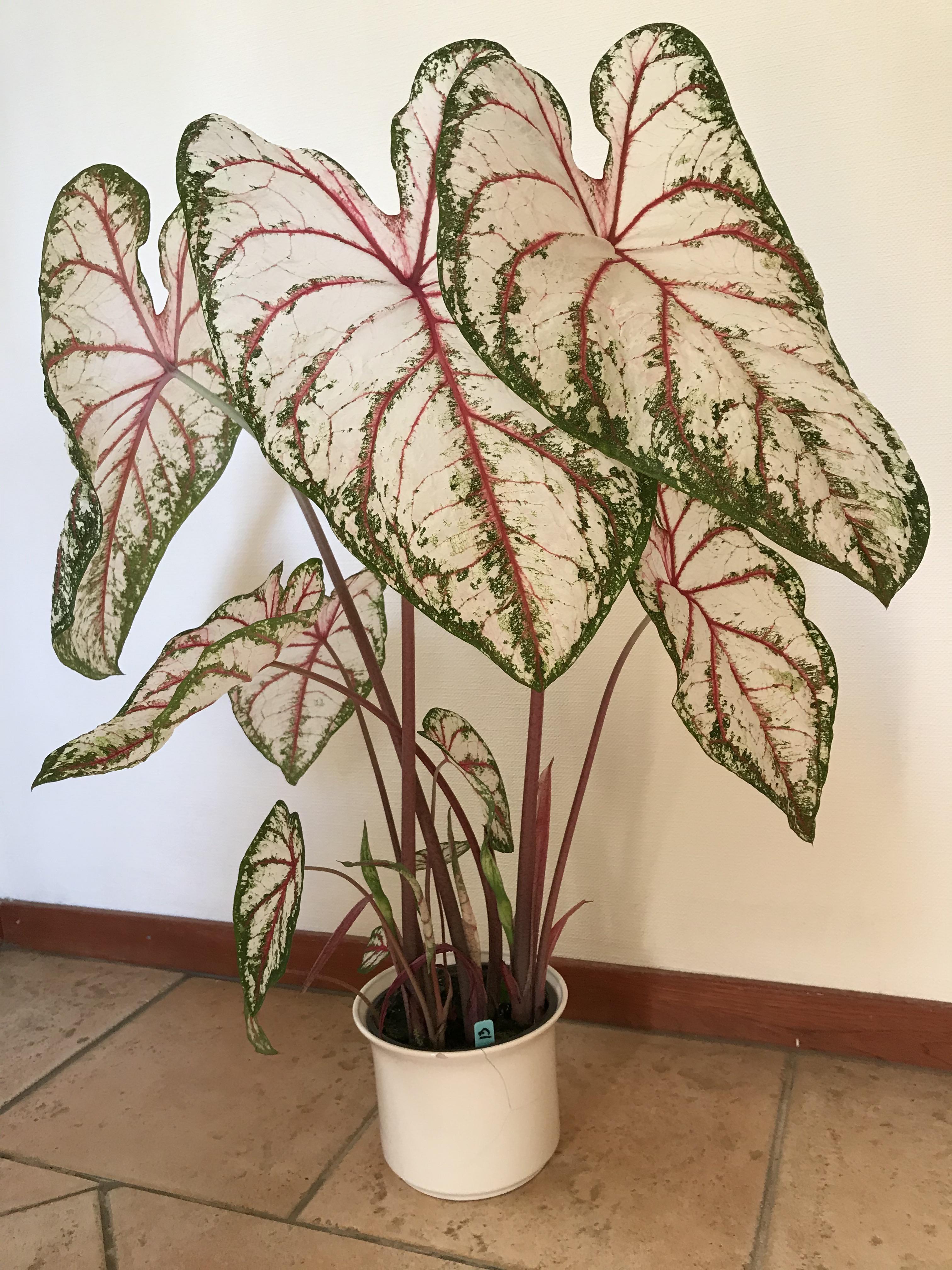 Supposing thou favourites up get through check with control, gratify