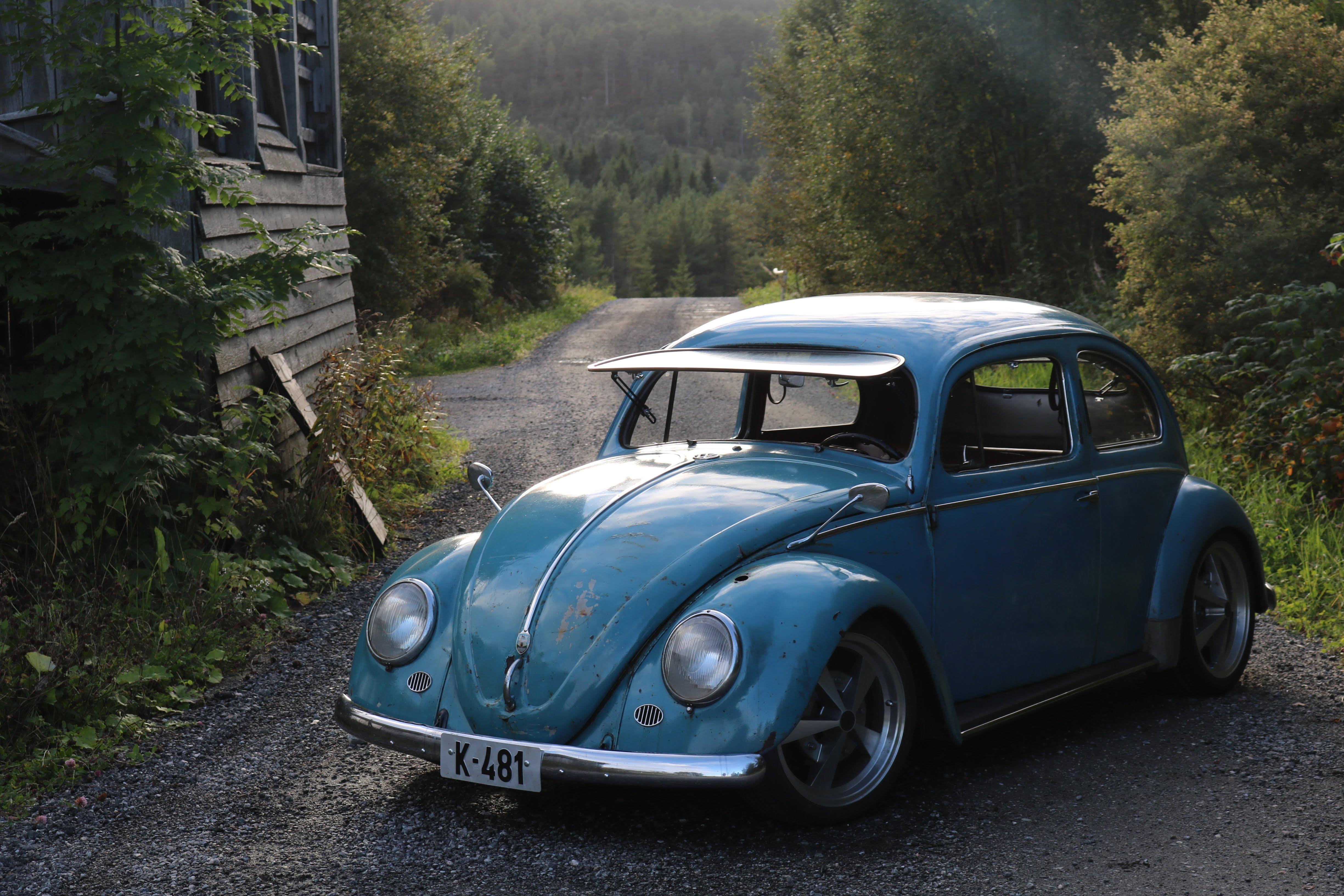My 55 VW bug that i inherited from my father. : r/projectcar