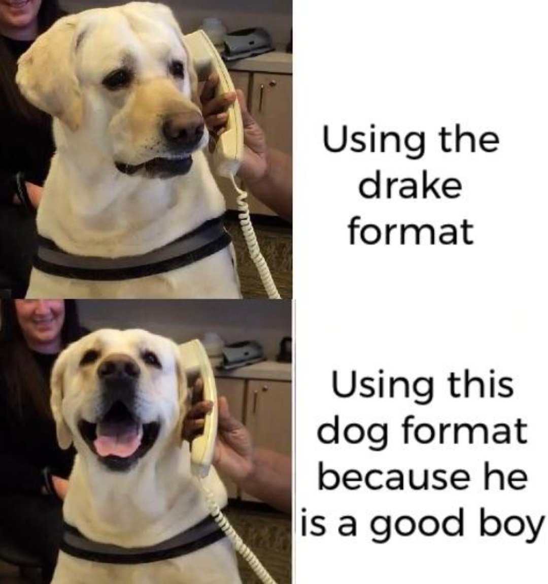 Let's all use the dog format! r/wholesomememes