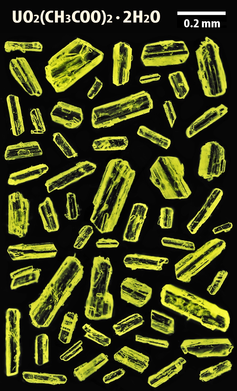 Uranyl acetate crystals r/chemistry