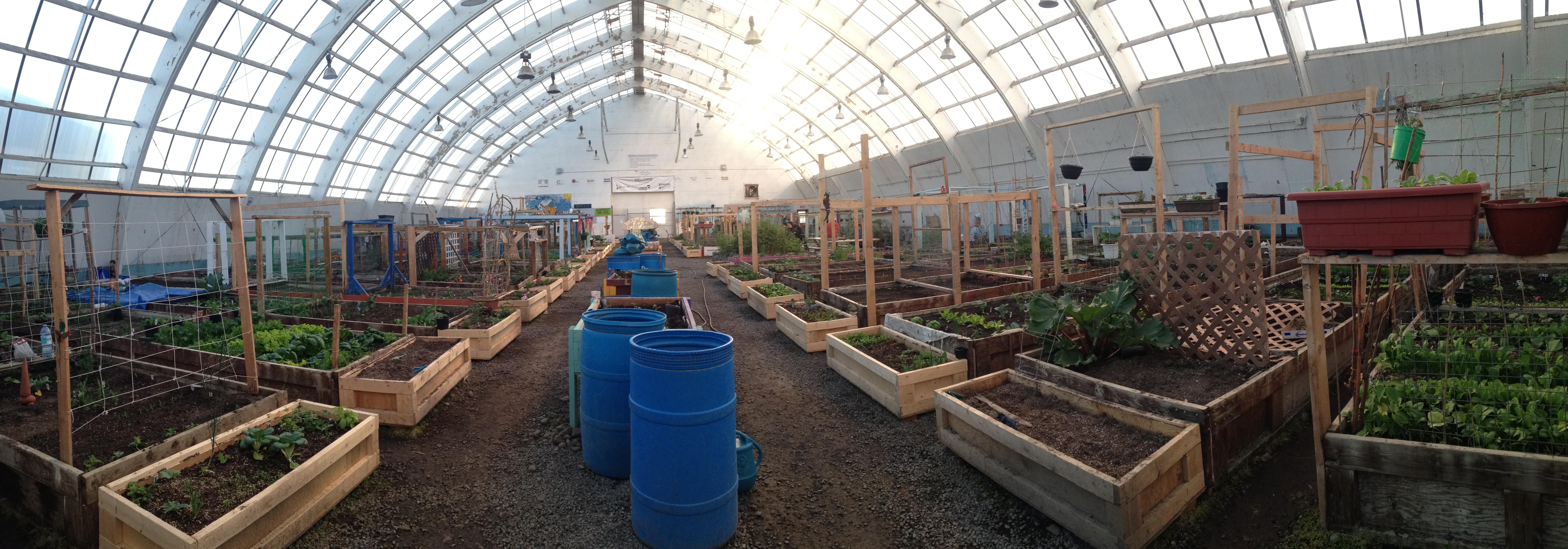 Canada's most northernly greenhouse is slowly getting green (Zone 0A
