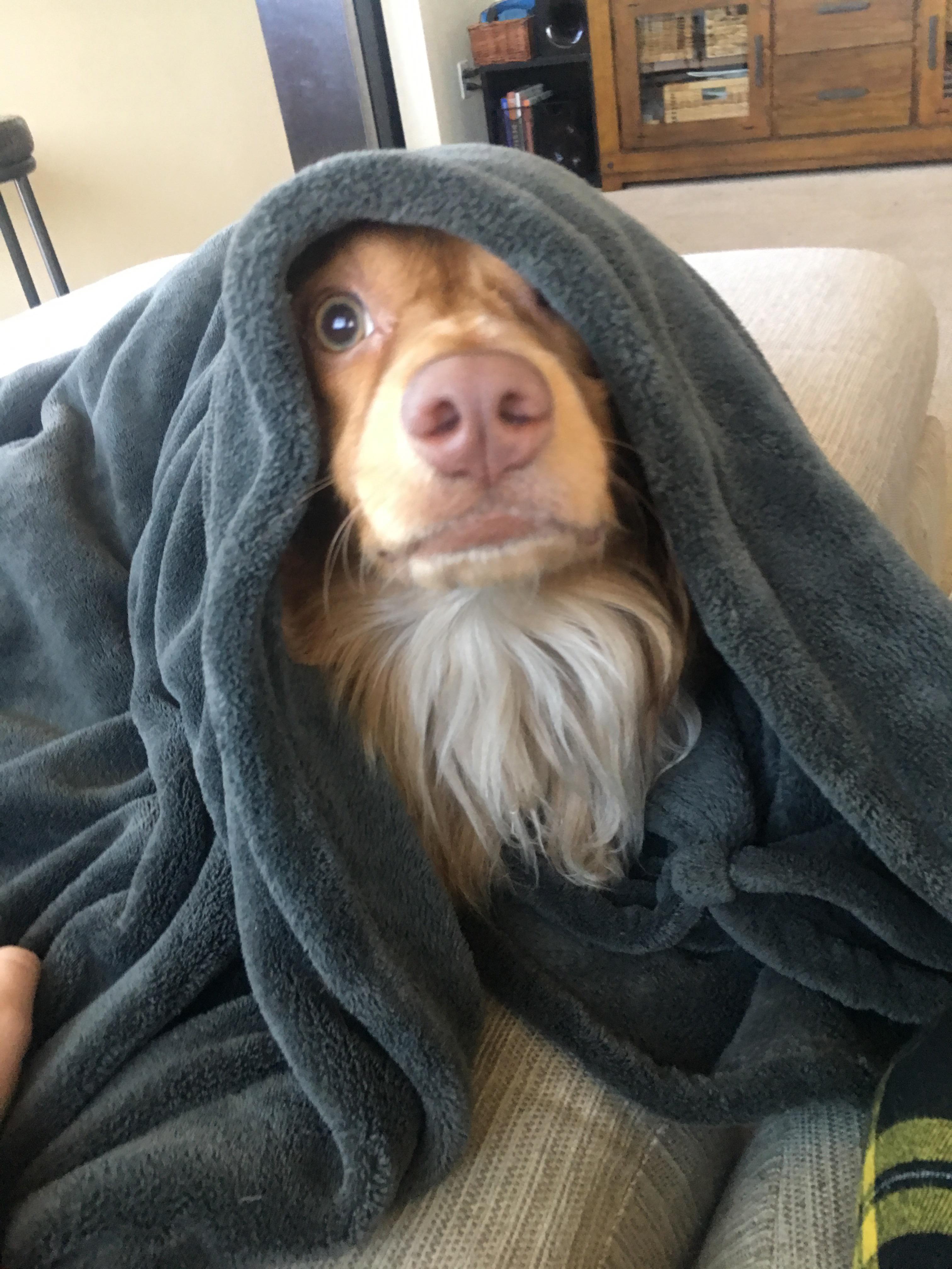 Fear the vacuum children...fear it