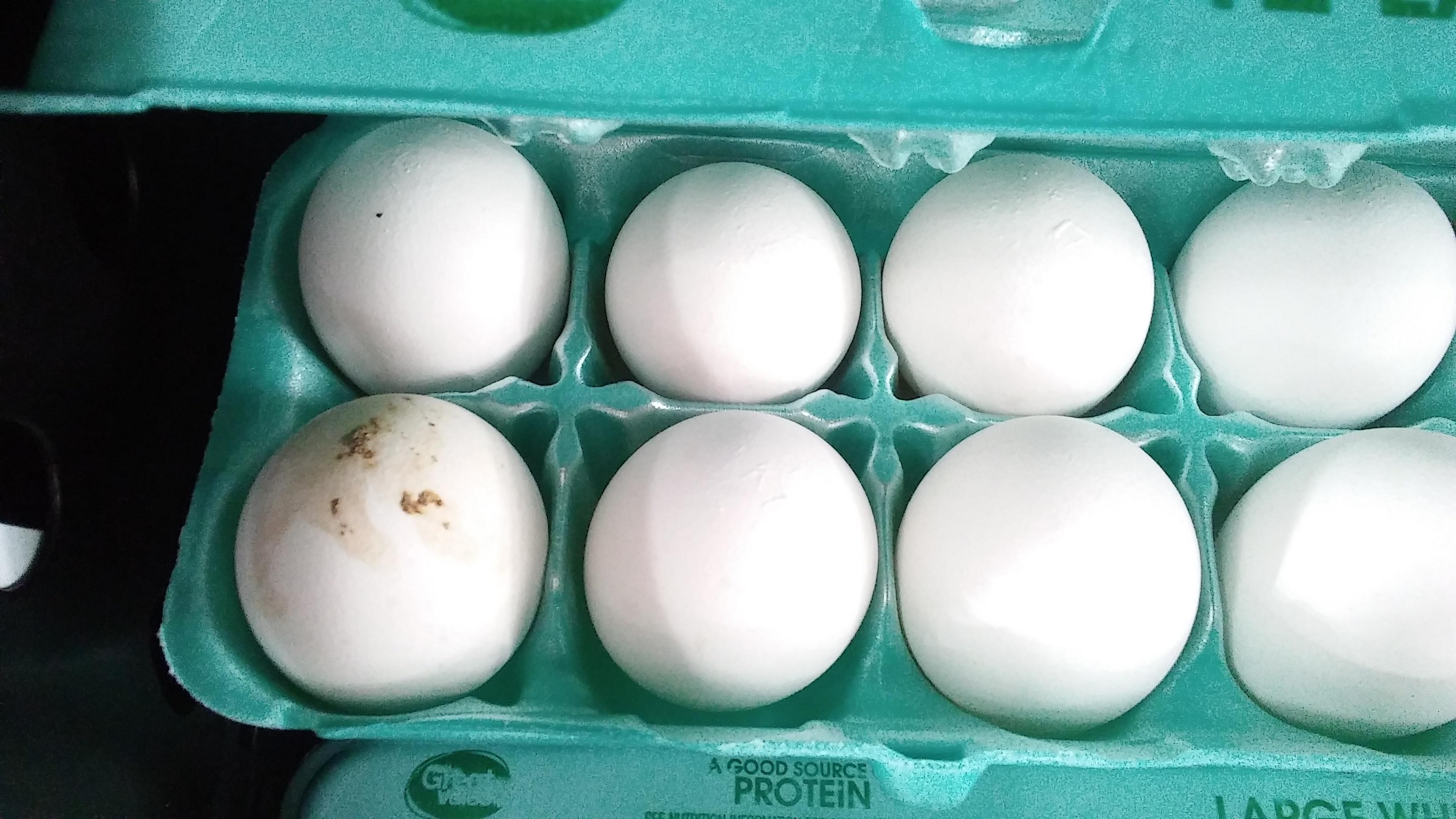 Can You Eat Chicken Eggs With Poop On Them at Sandra Ronan blog