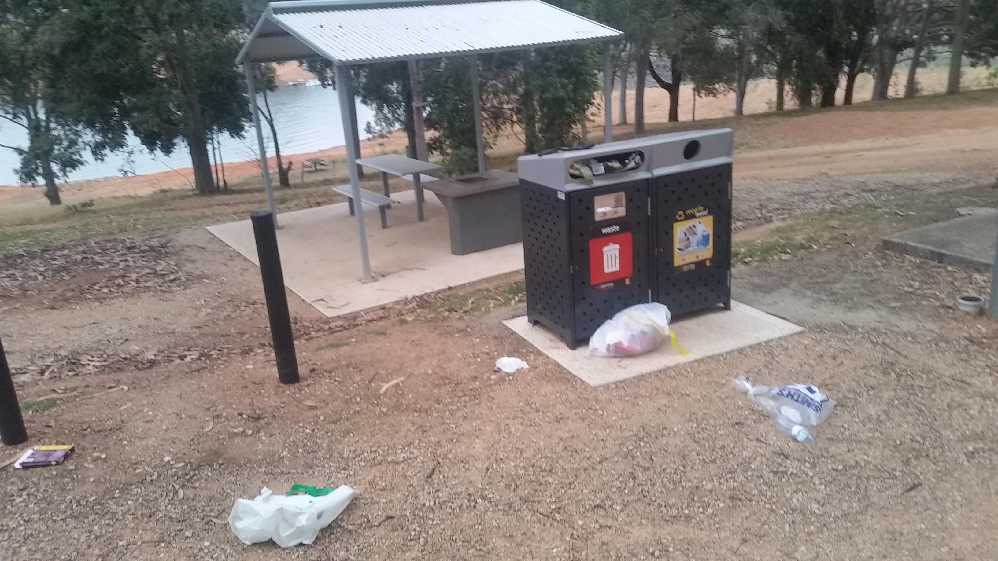 An attempt was made. Not even 20m away there are four empty bins. The