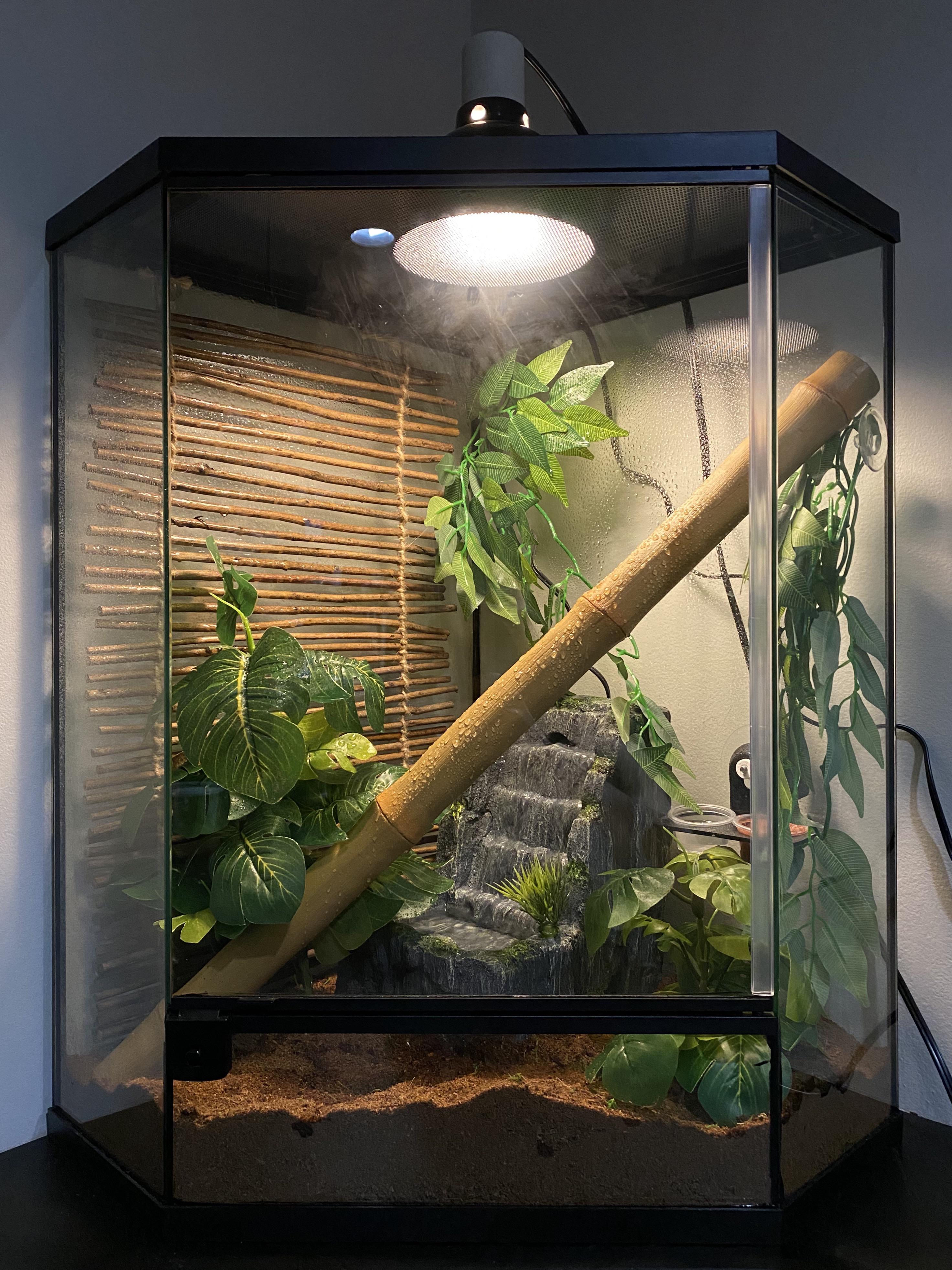 New Terrarium from Thrive! r/reptiles