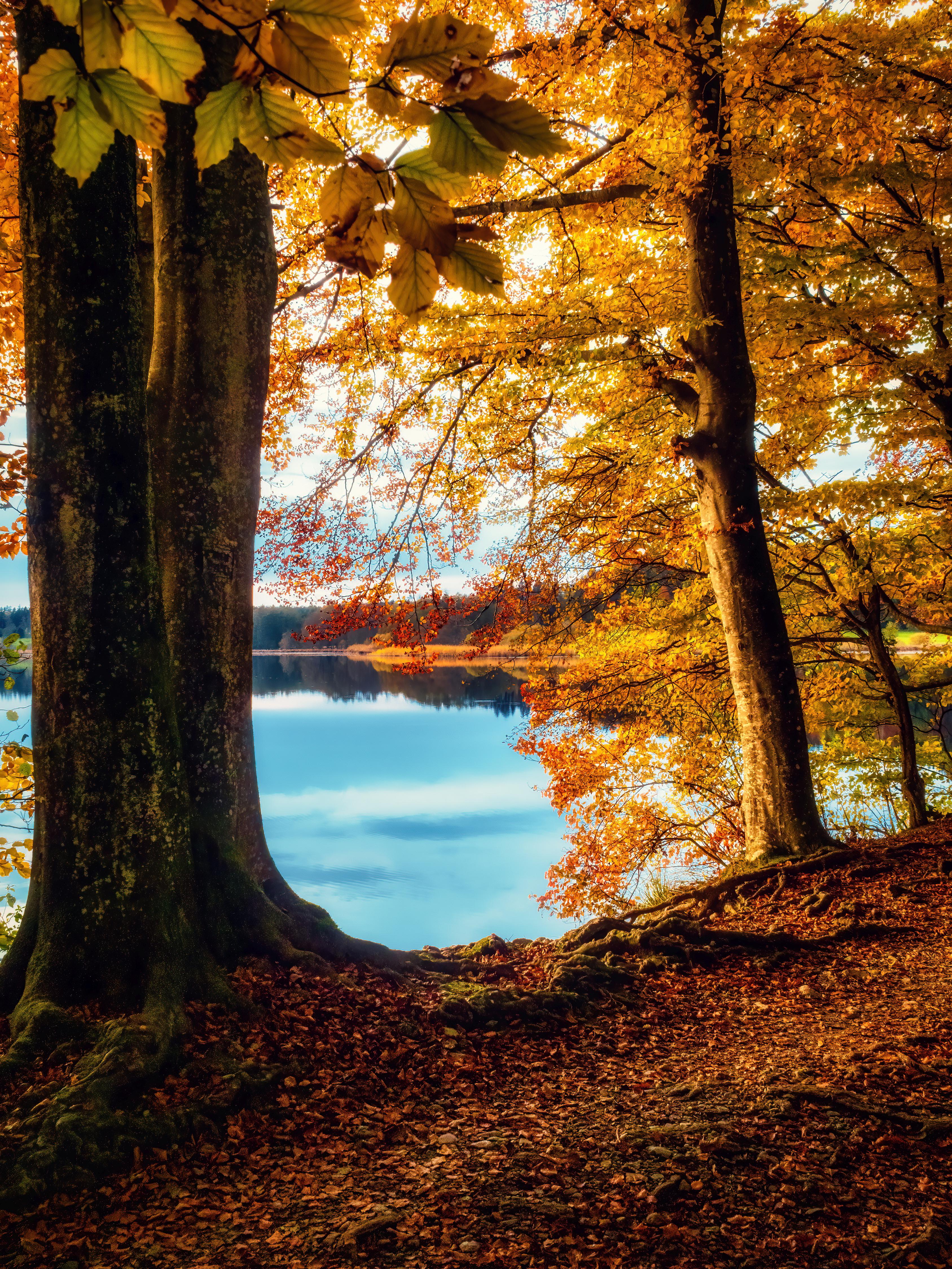 A late afternoon walk by the lake enjoying fall colors. Germany [OC