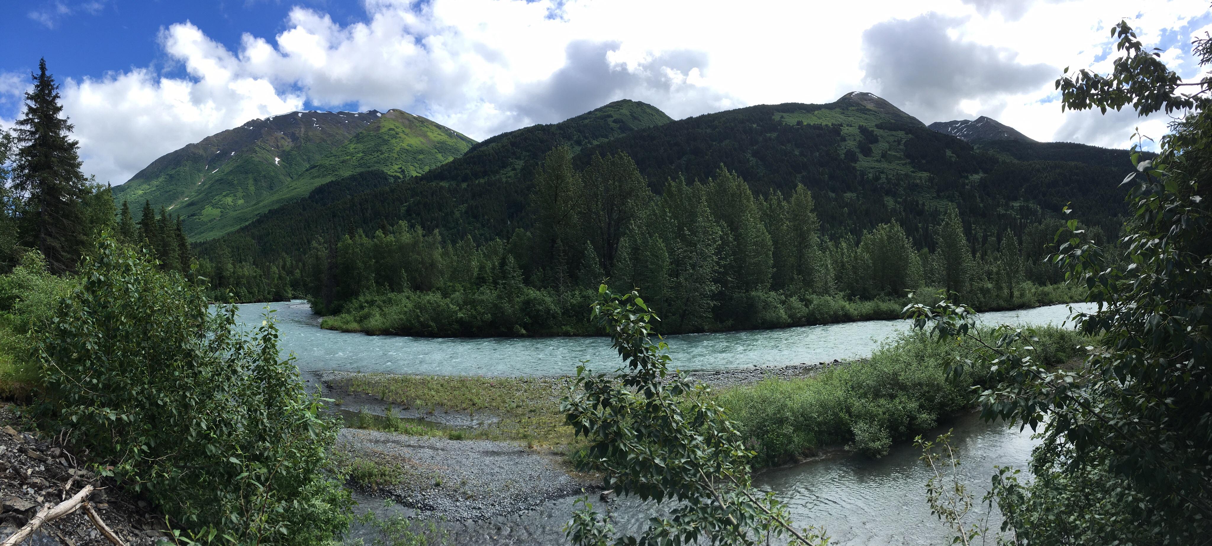 My buddy went rafting in Alaska and sent me this. Not sure exactly what