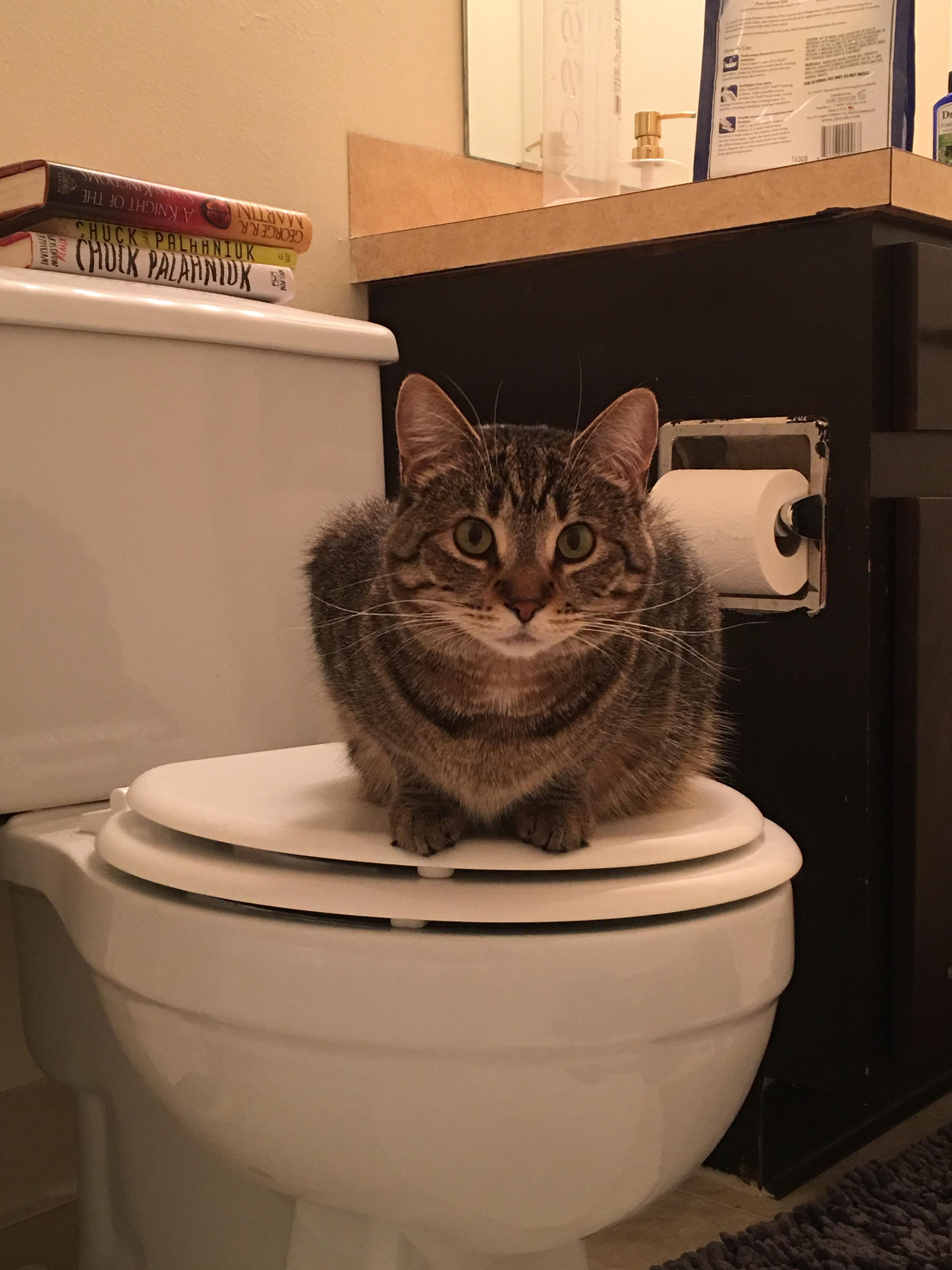 “Human is not allowed to bathe in the waters that don’t come from own