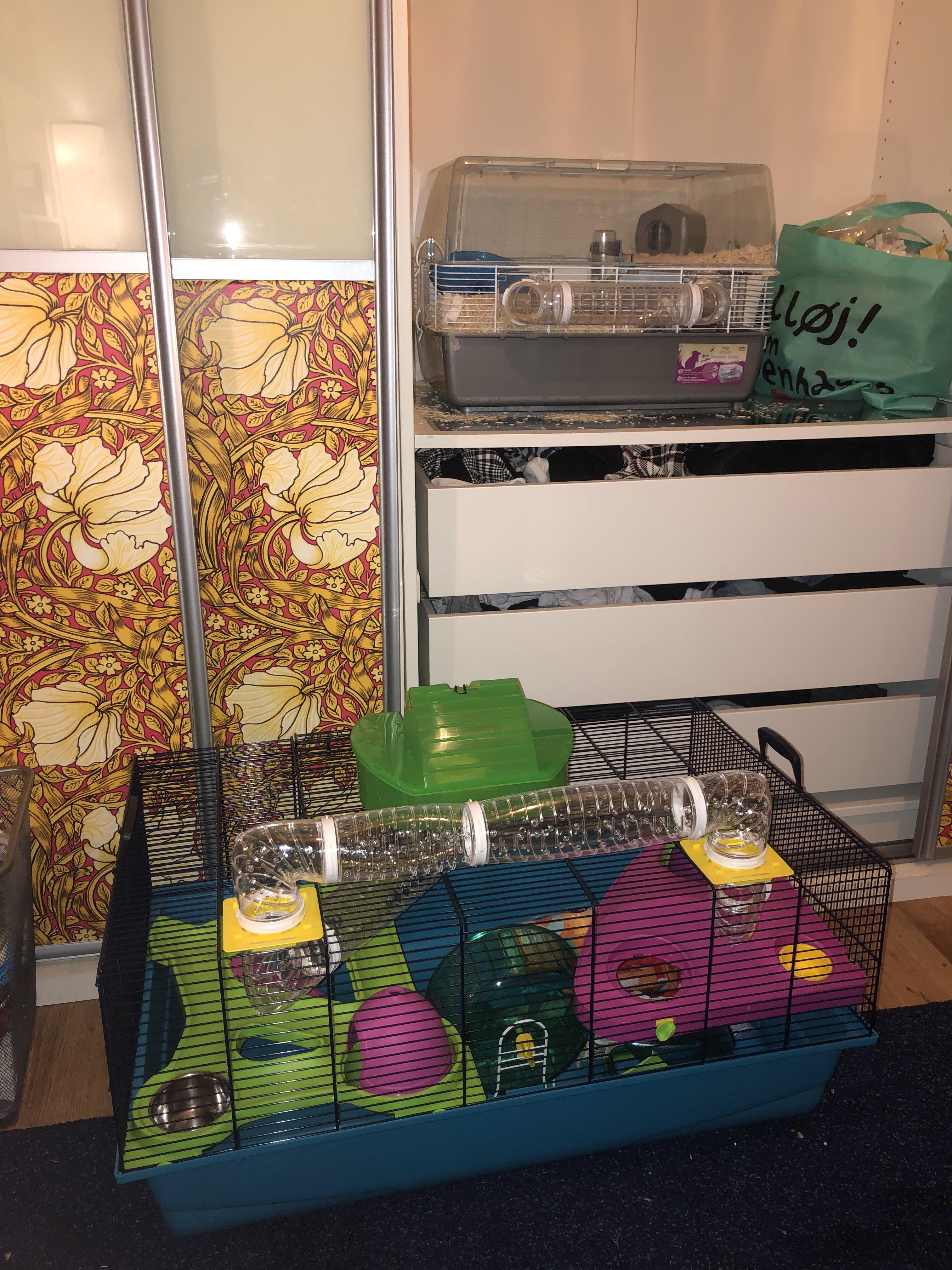 Updating my hamsters cage thanks to advice on this sub ) (top one is