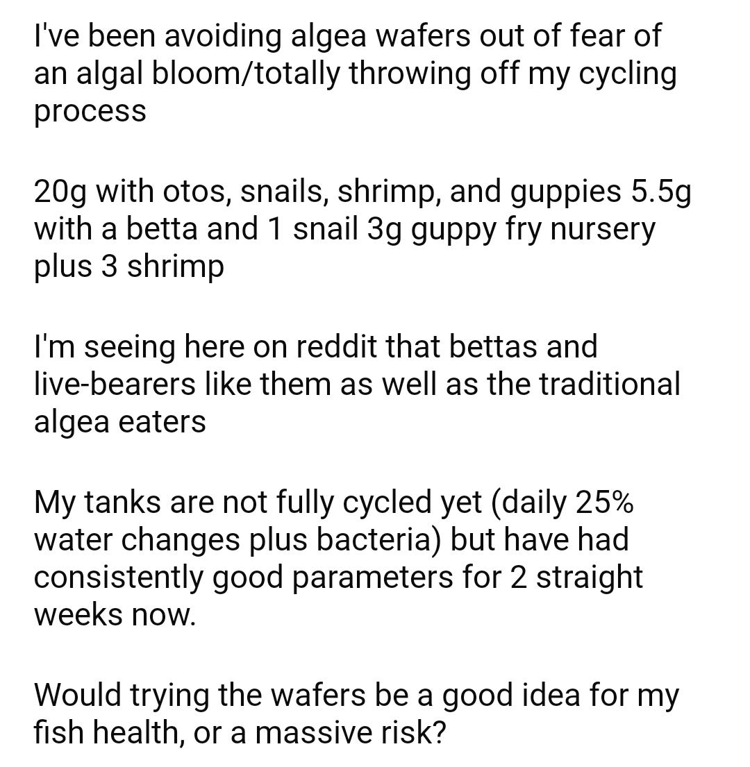 how to use algea wafers without triggering an algal bloom r/fishkeeping