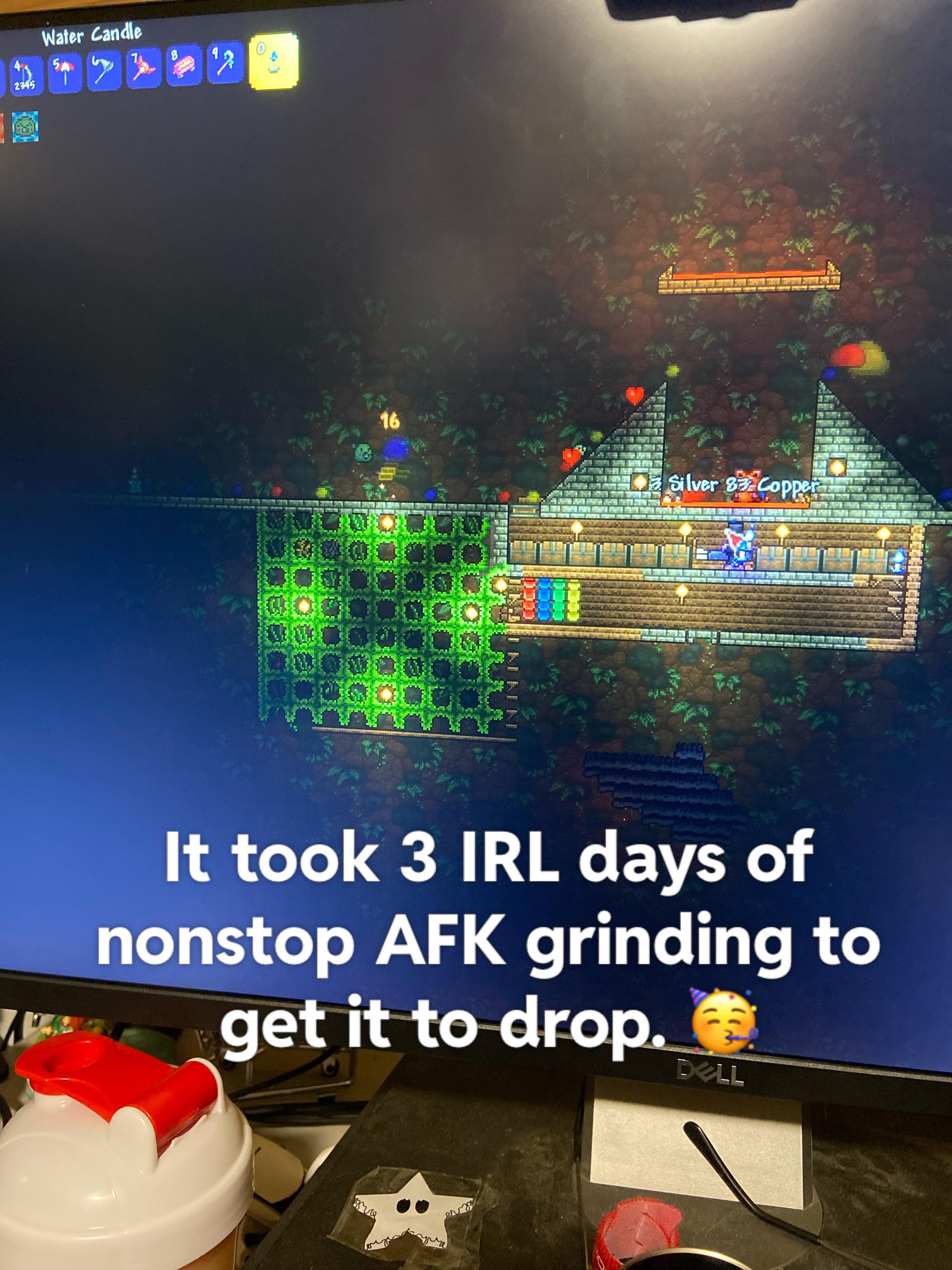 Slime staff drop rate is perfectly balanced 😁 r/Terraria