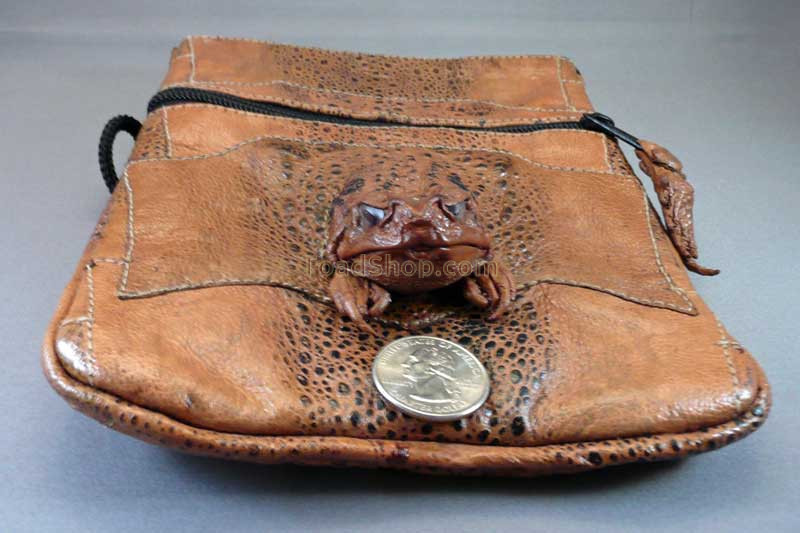 Australian cane toad leather purses r/ATBGE